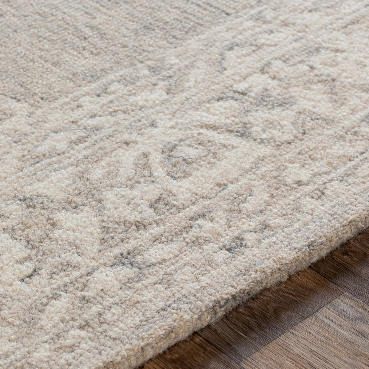 Kayseri KSR-2313 Light-Beige Area Rug by LIVABLISS