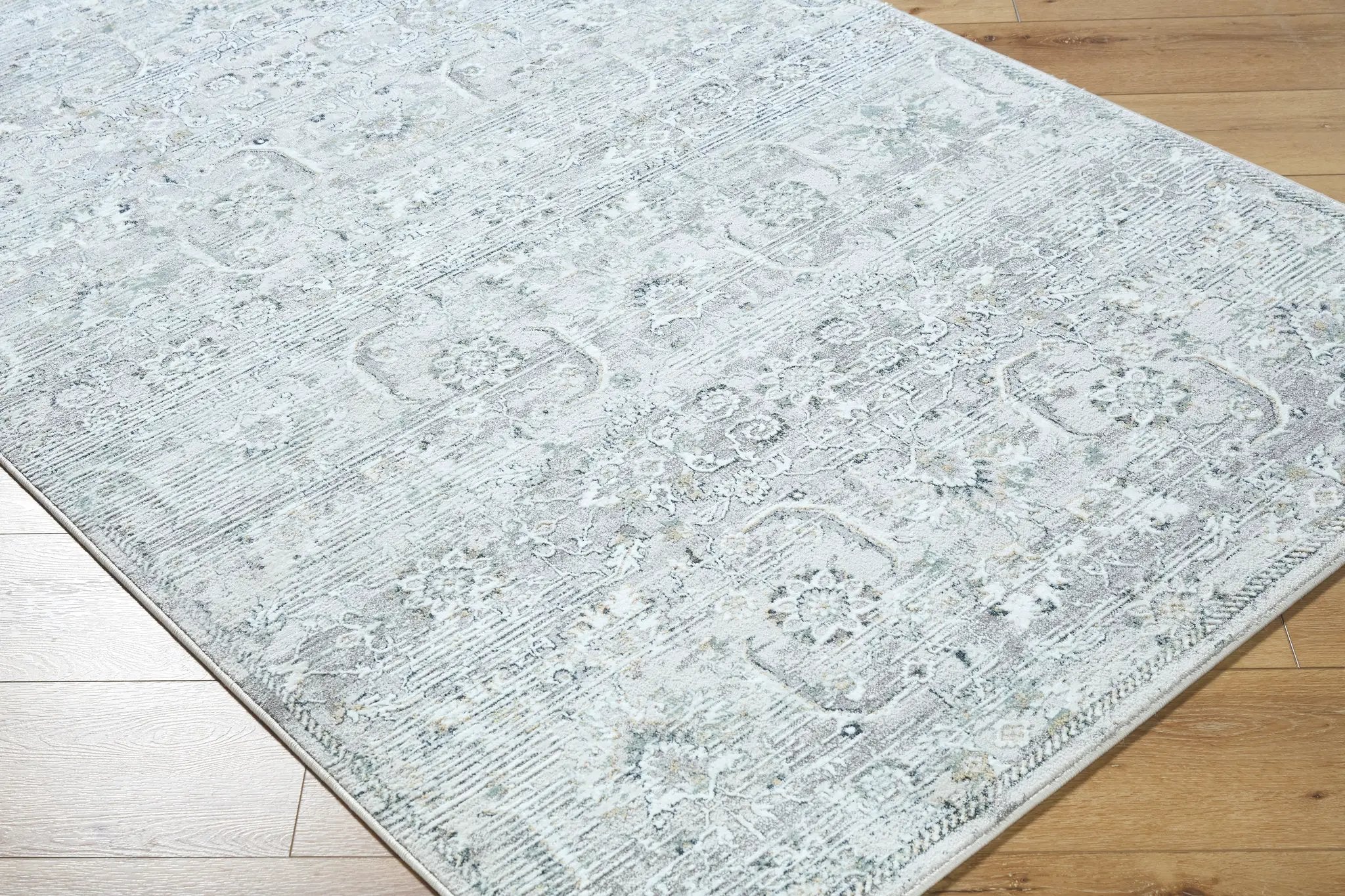 Lorenz LTZ-2302 Light-Sage Area Rug by LIVABLISS