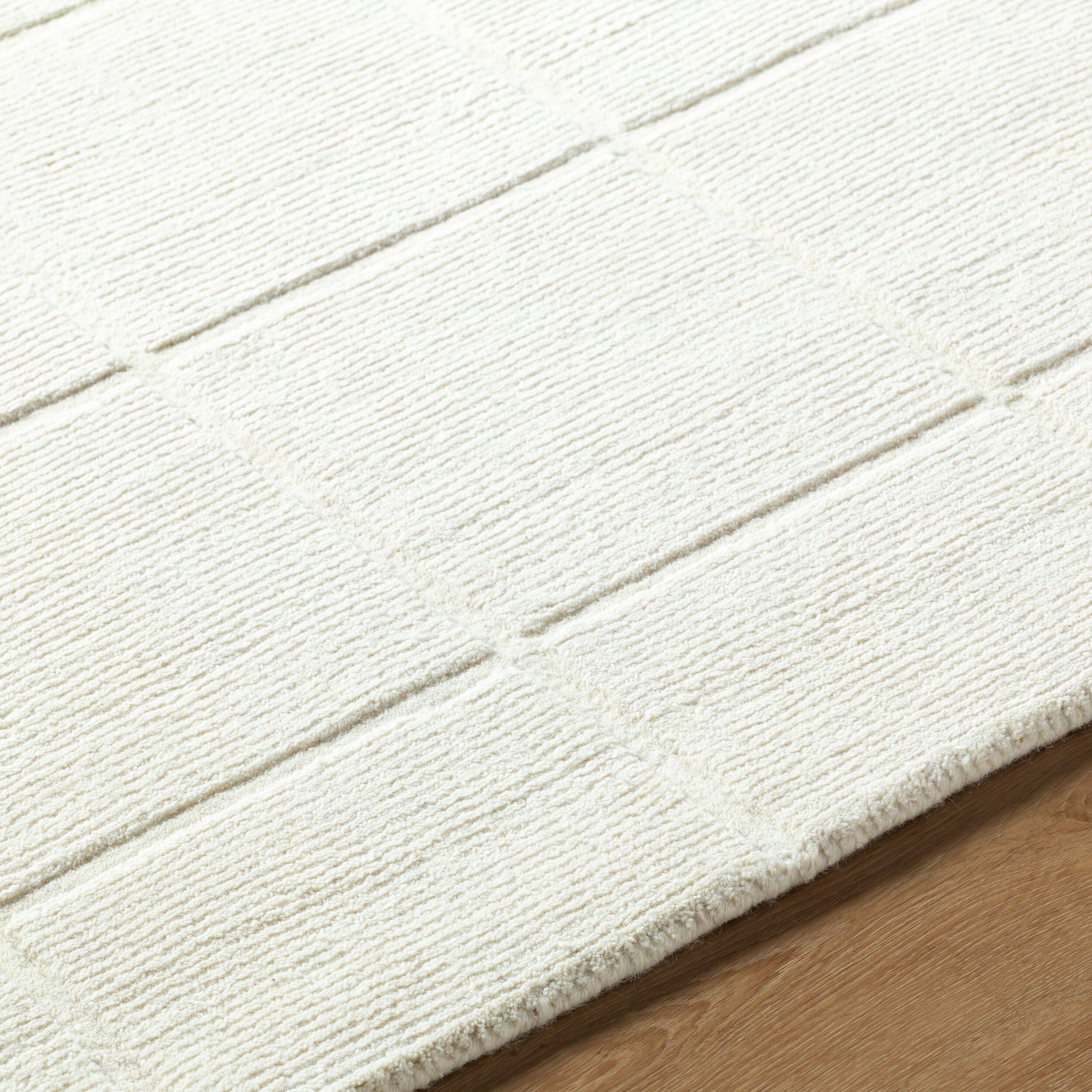 Surya Mystique M-5471 Ivory Area Rug by LIVABLISS