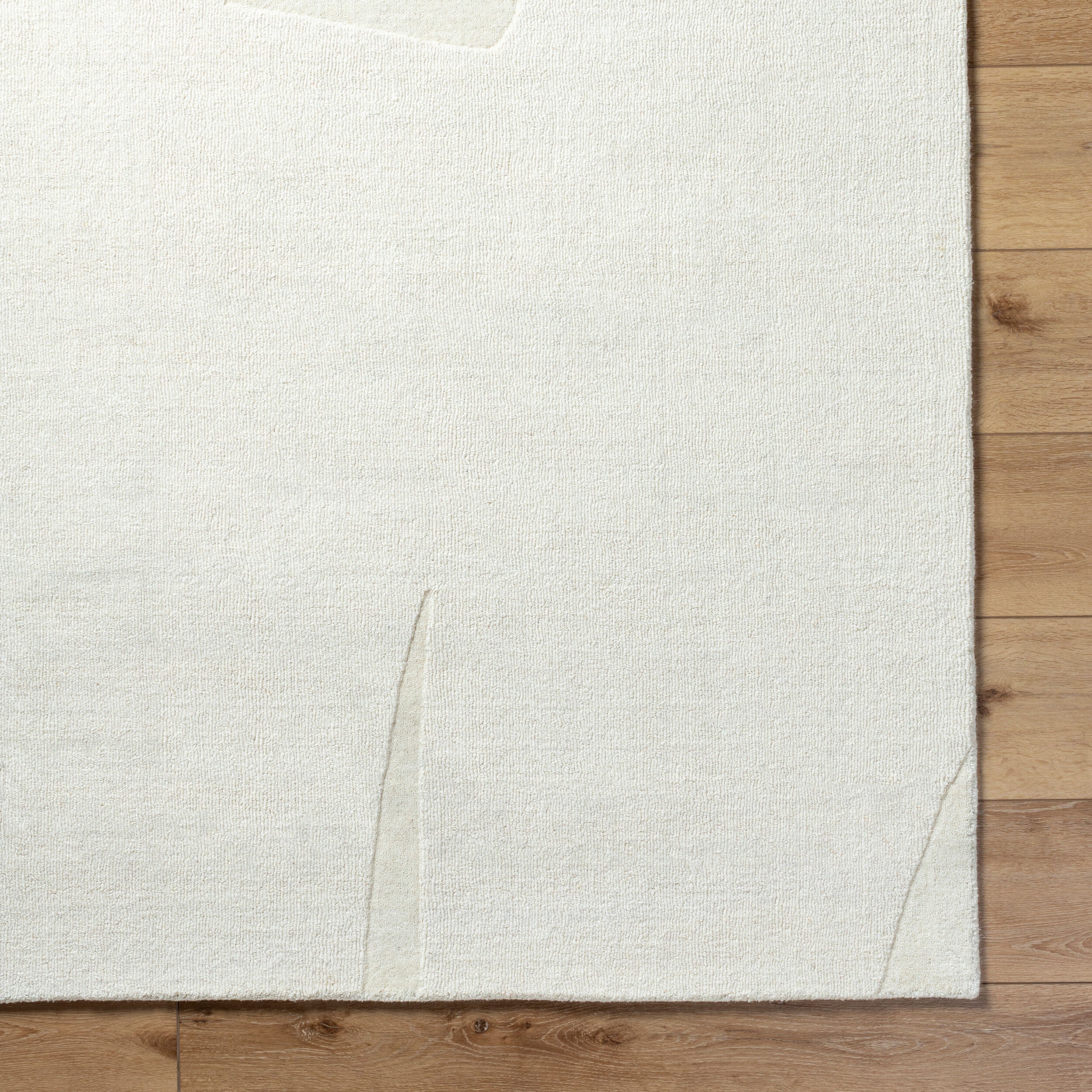 Surya Mystique M-5477 Ivory Area Rug by LIVABLISS
