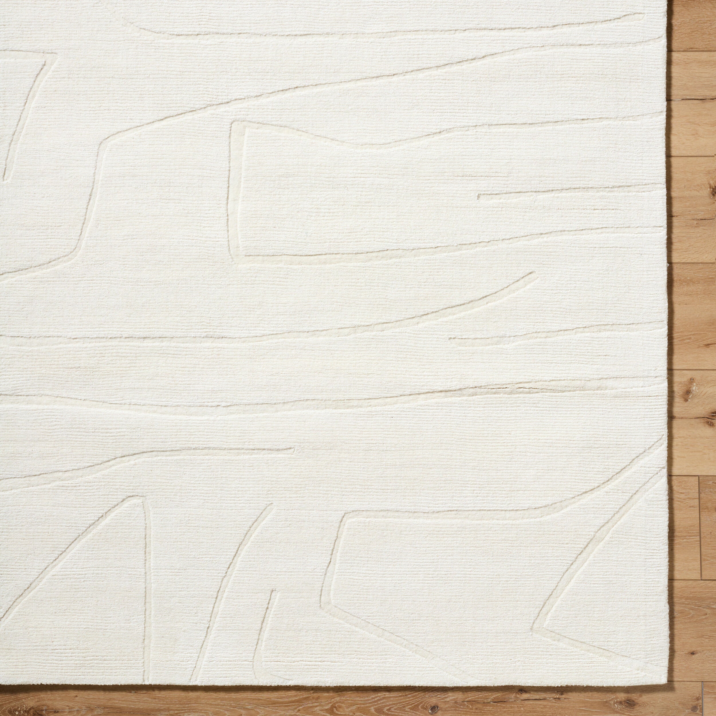 Surya Mystique M-5484 Ivory Area Rug by LIVABLISS