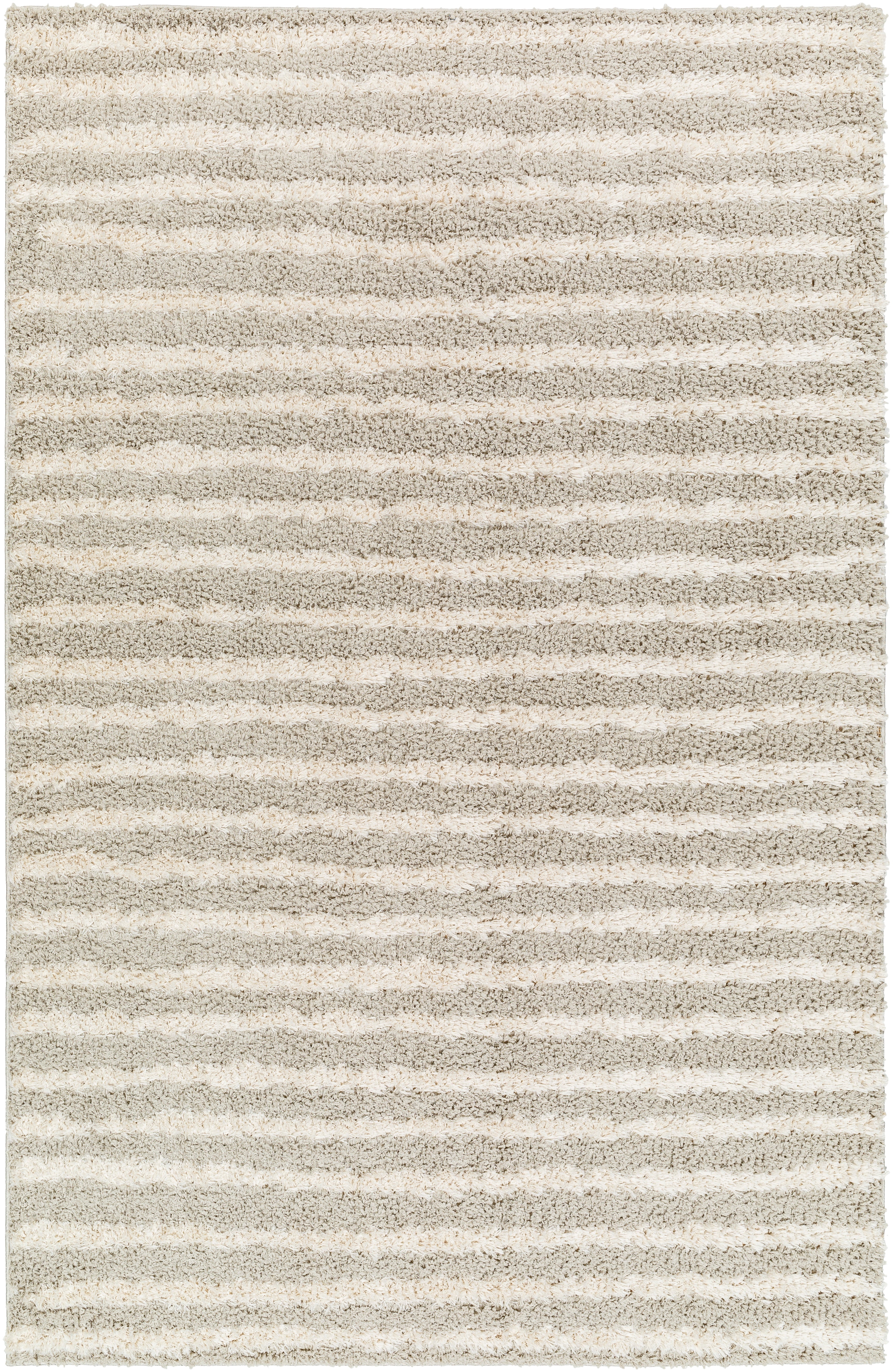 Surya Maryland Shag MSG-2309 Medium Gray Area Rug by LIVABLISS