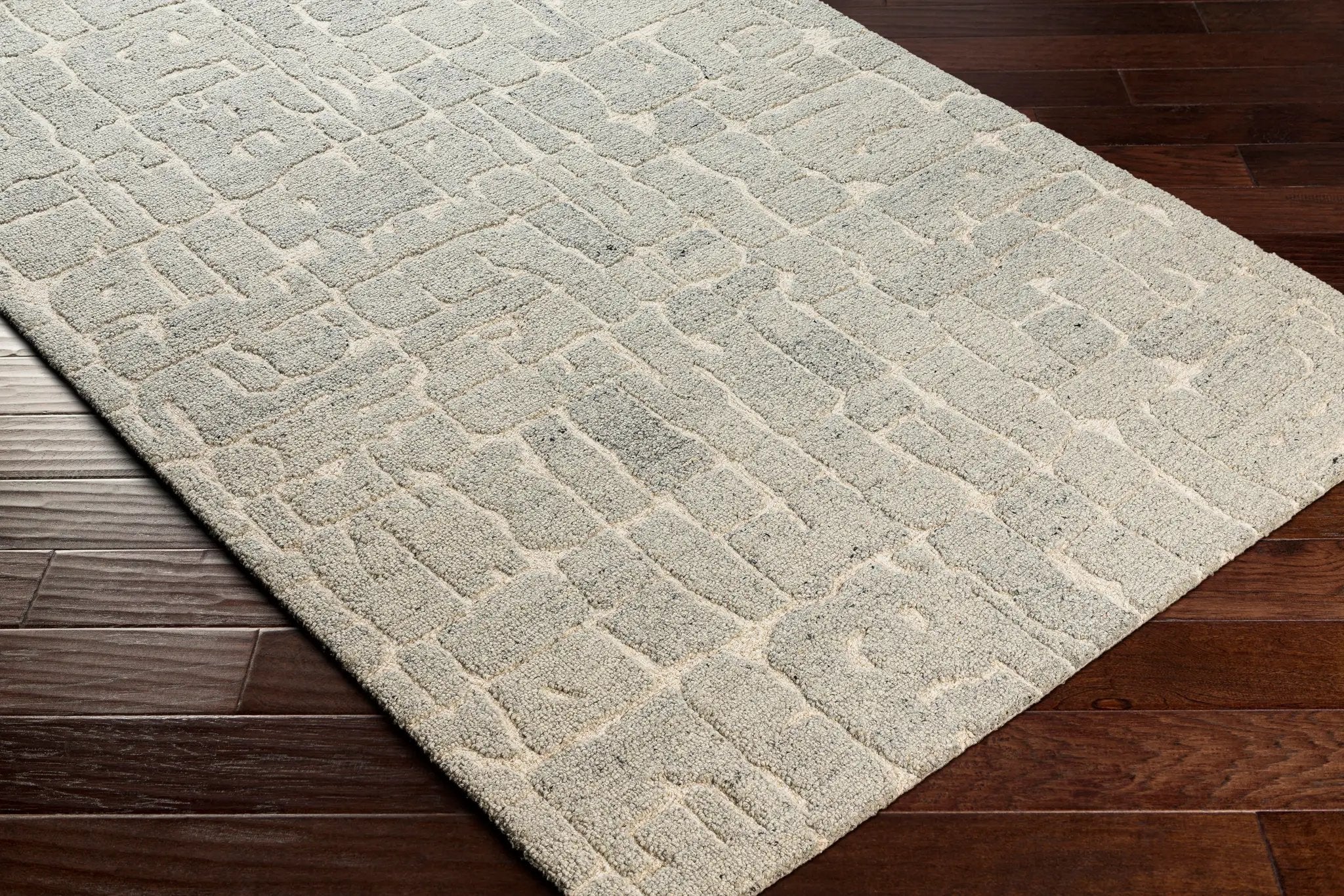 Madelyn MYN-2305 Light-Gray Area Rug by LIVABLISS