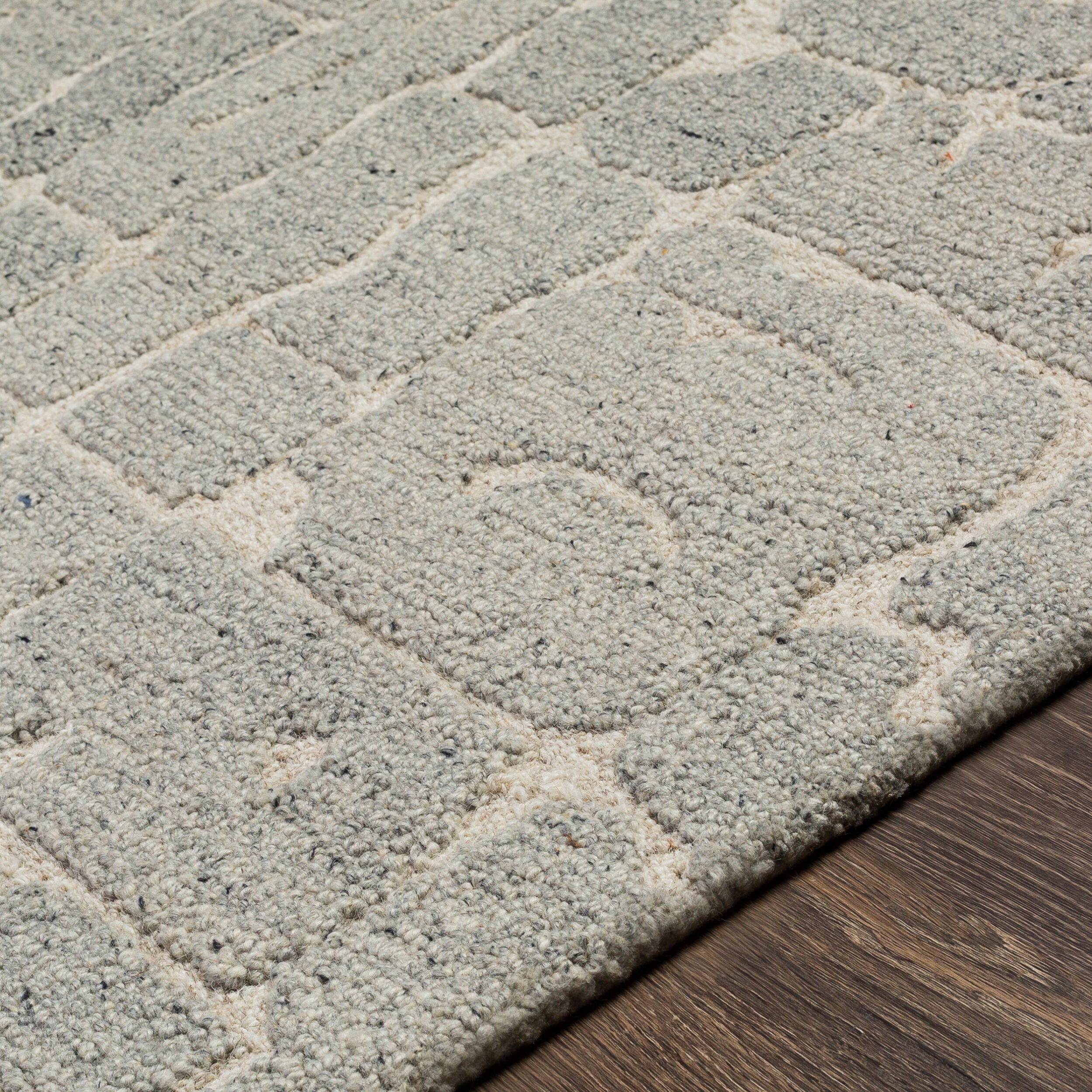 Surya Madelyn MYN-2305 Light Gray Area Rug by LIVABLISS