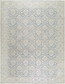 Nabela Noor Home x Livabliss Aram NBAR-2305 Denim Area Rug