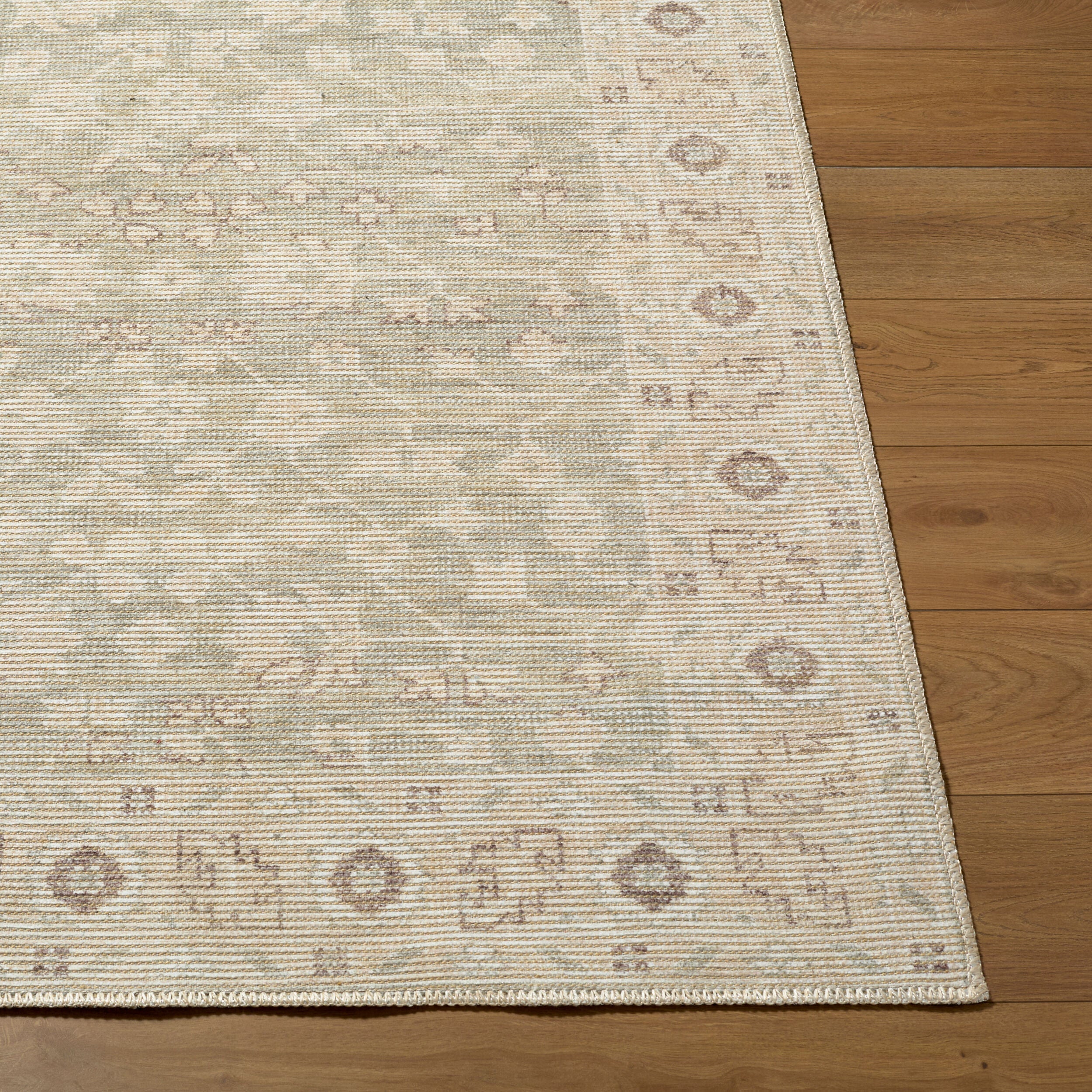 Nabela Noor Home x Livabliss Asha NBAS-2305 Sage Area Rug
