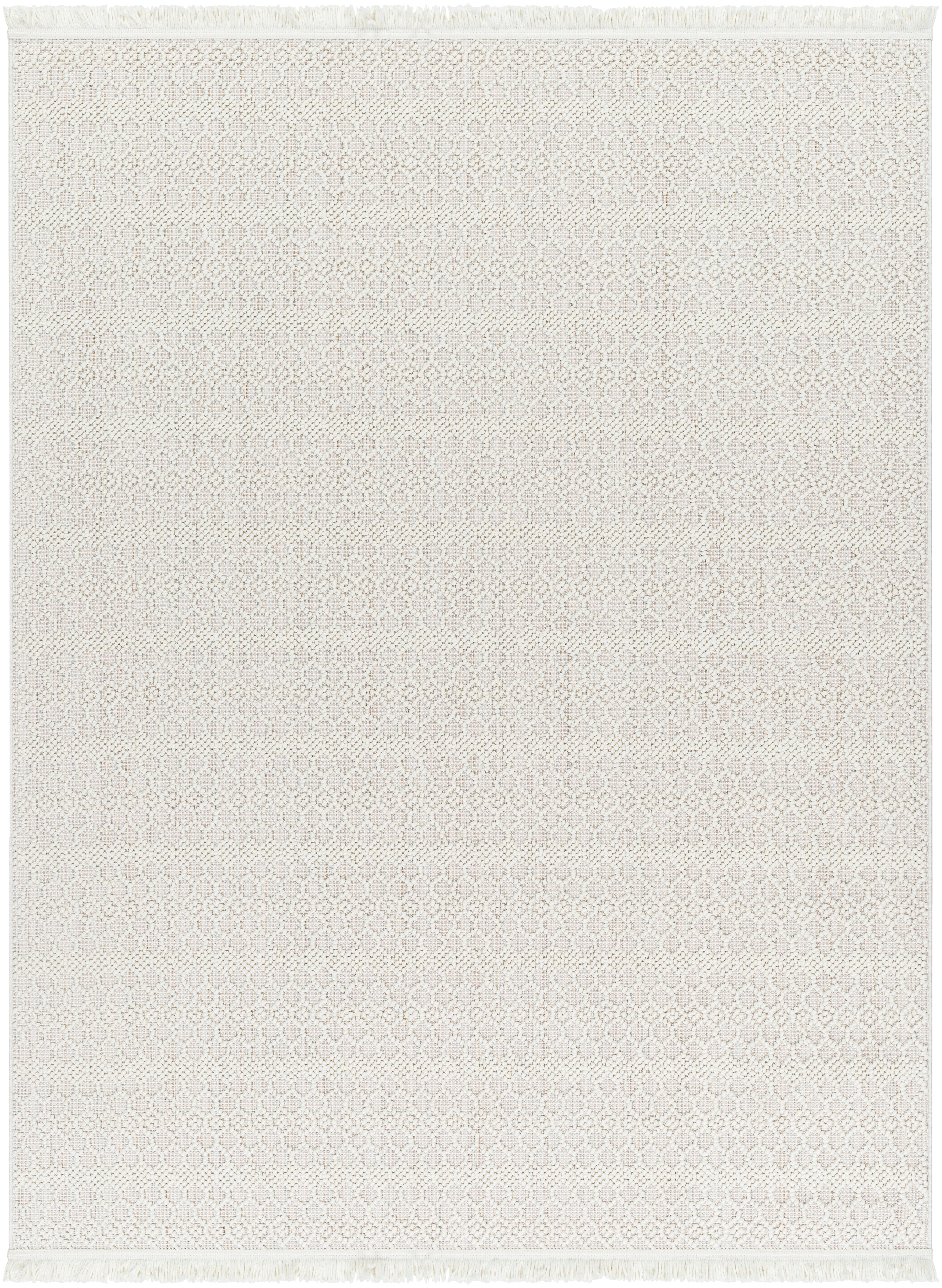 Surya New Delhi NWH-2308 Cream Area Rug by LIVABLISS