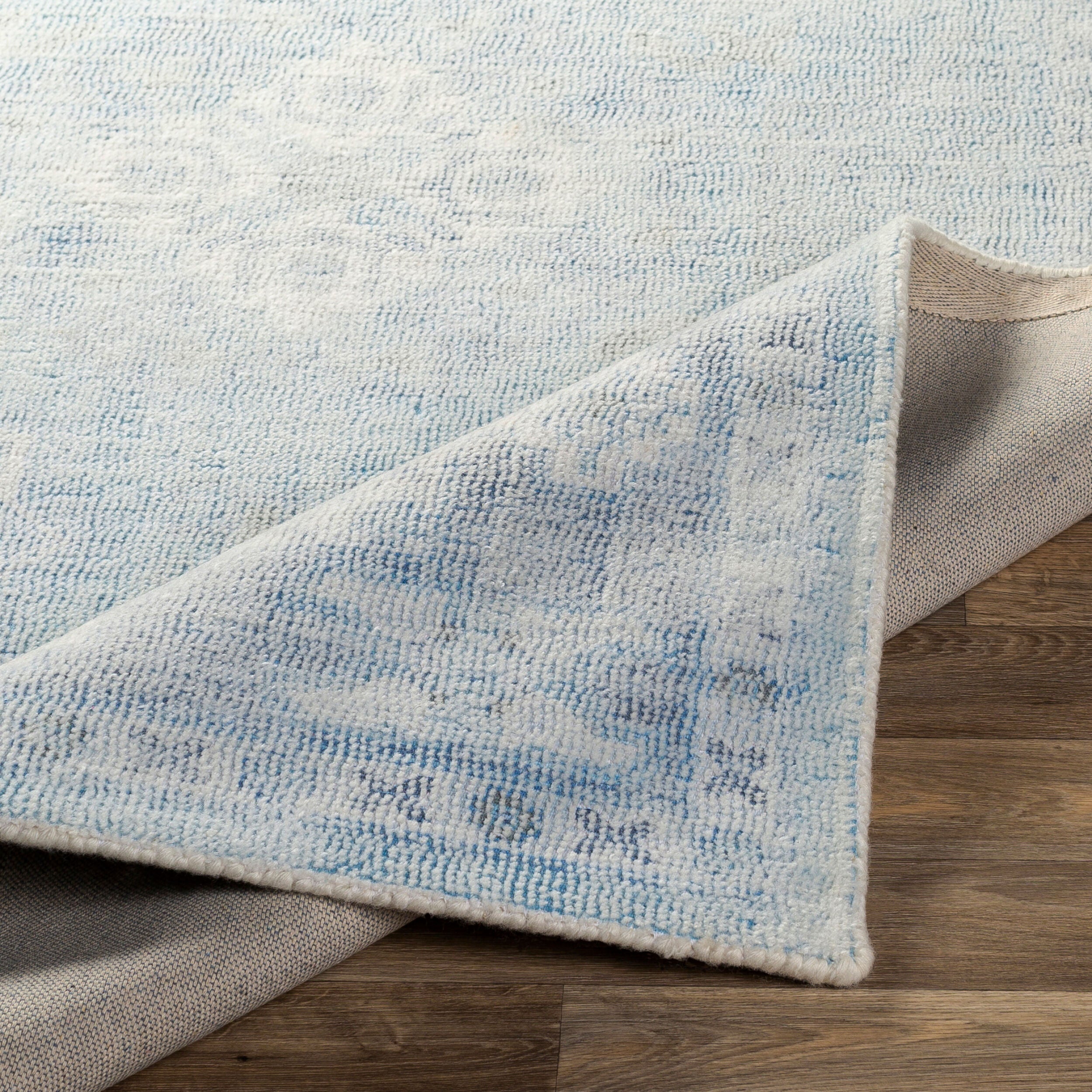 Surya Oregon ORG-2304 Blue Area Rug by LIVABLISS