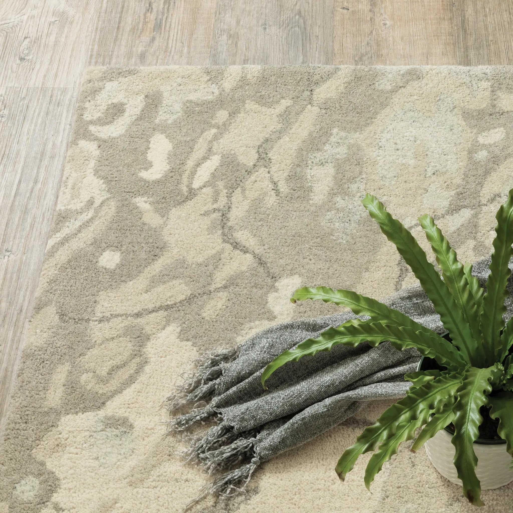 Anastasia 68008 Beige/ Ivory Area Rug by Oriental Weavers