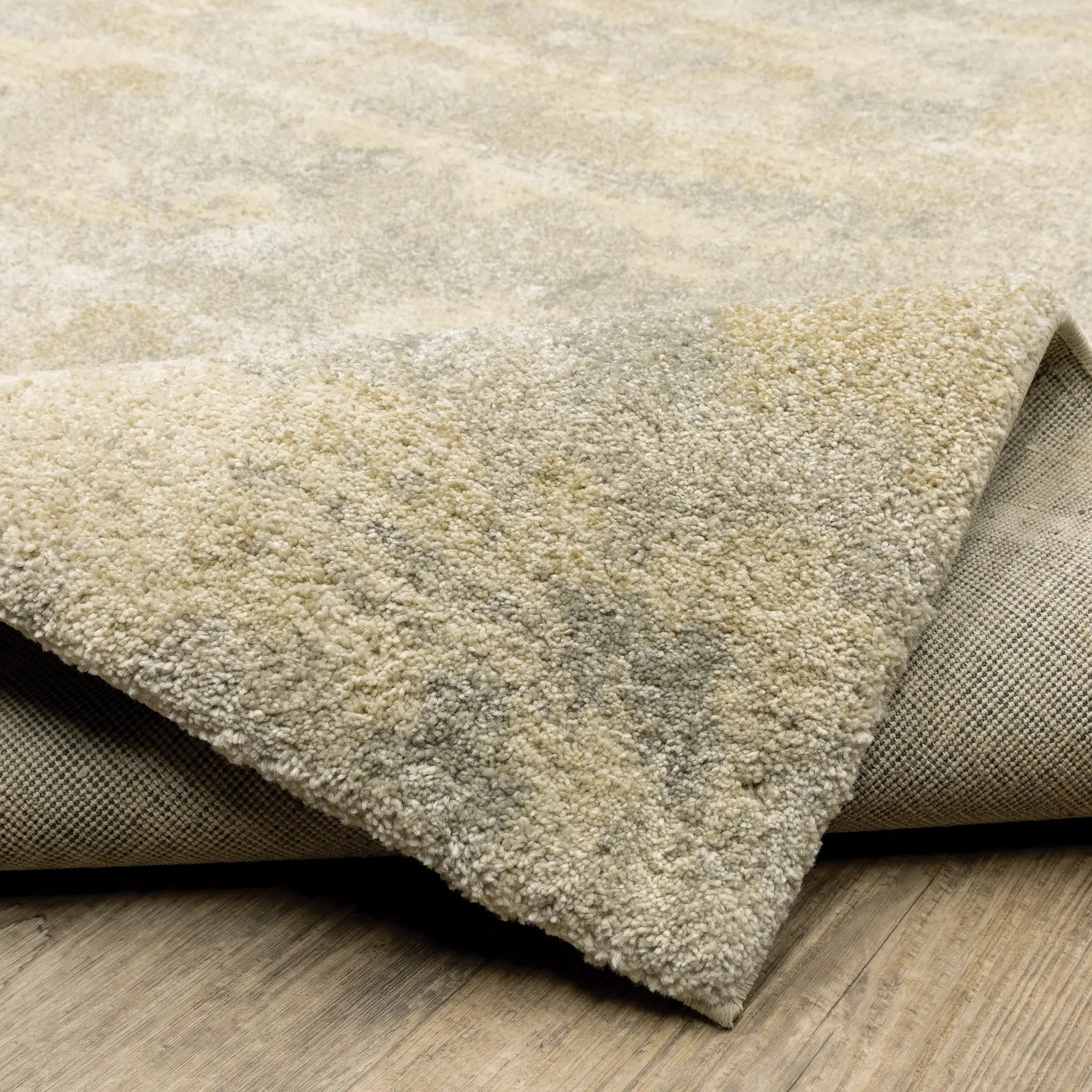 Astor 2268J Beige/ Grey Area Rug by Oriental Weavers