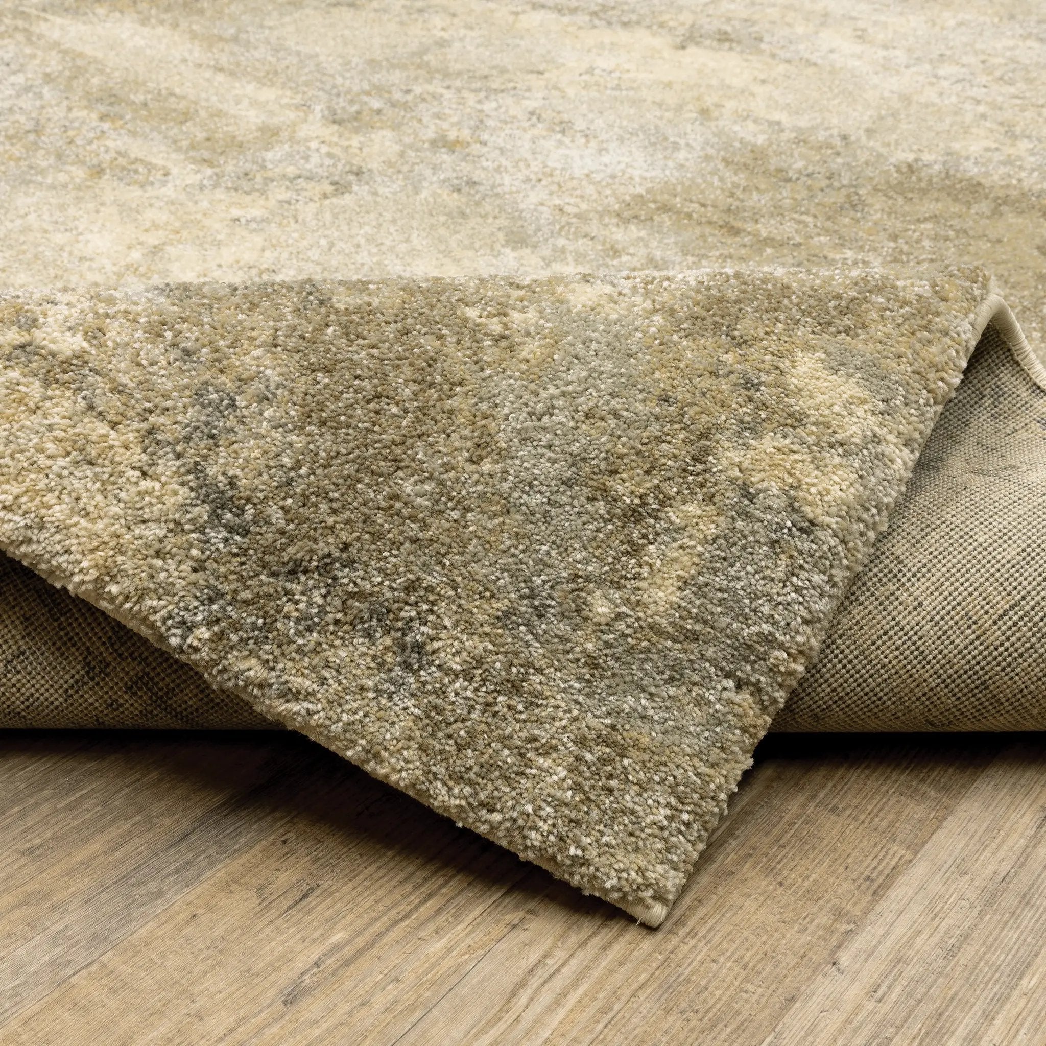 Astor 8322J Gold/ Beige Area Rug by Oriental Weavers