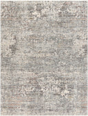 Surya Presidential PDT-2303 Ice Blue Area Rug by LIVABLISS