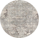 Surya Presidential PDT-2303 Ice Blue Area Rug by LIVABLISS
