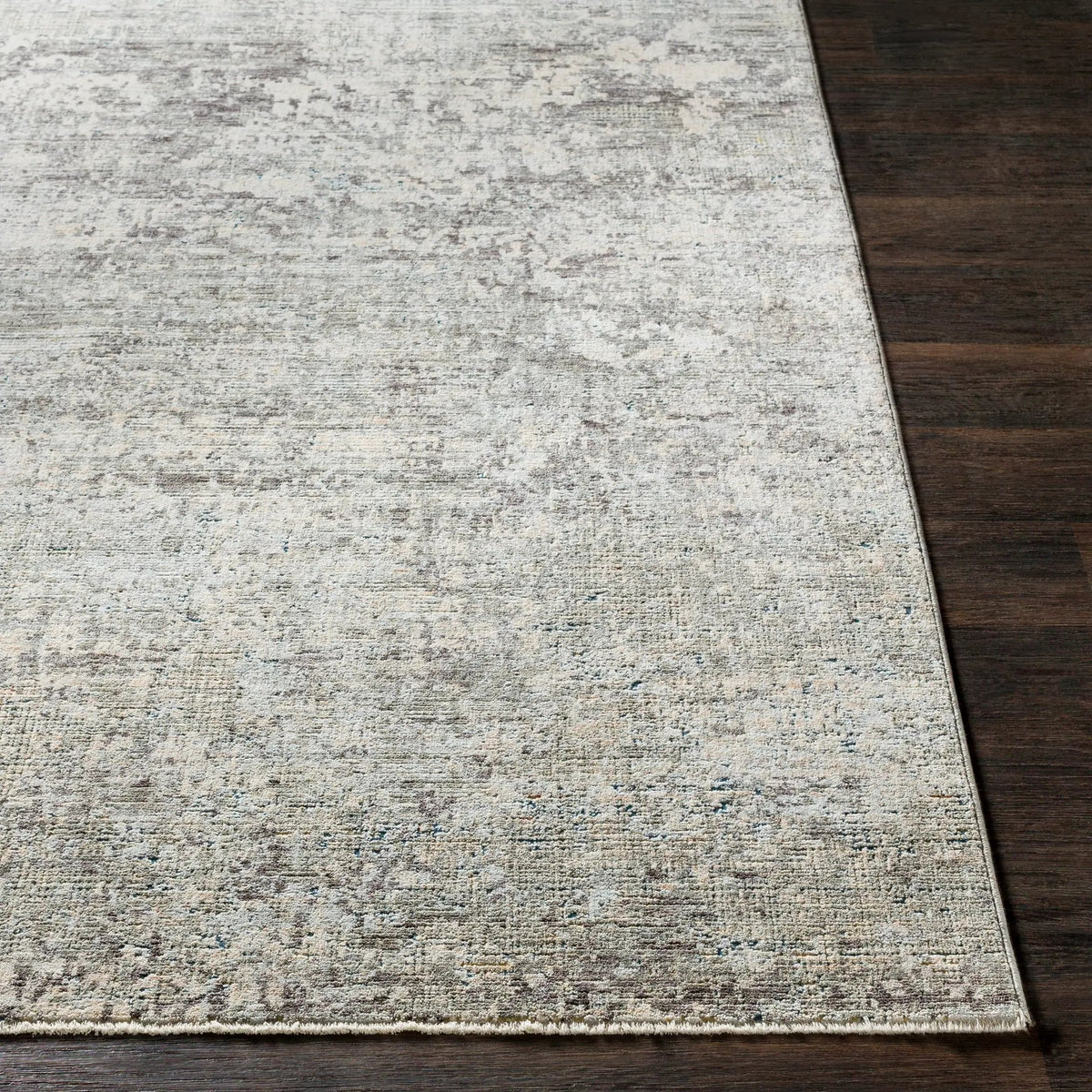 Presidential PDT-2303 Ice-Blue Area Rug by LIVABLISS