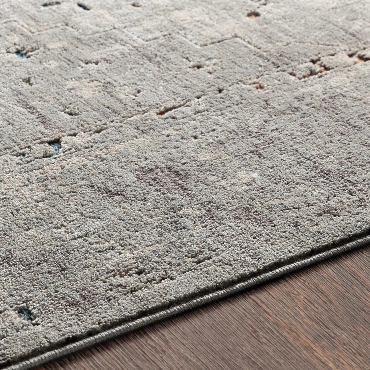 Presidential PDT-2311 Dusty-Sage Area Rug by LIVABLISS