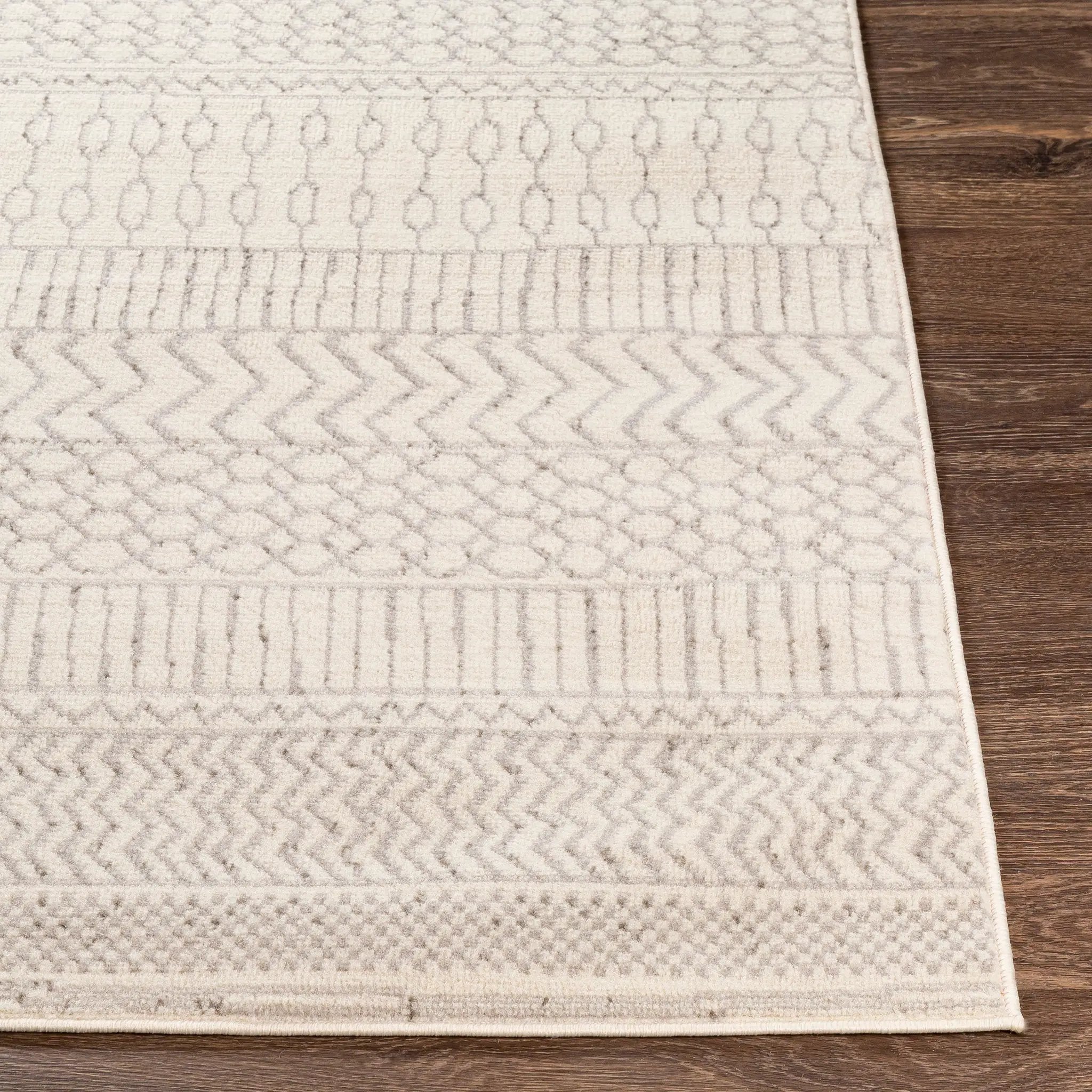 Pisa PSS-2301 Gray Area Rug by LIVABLISS