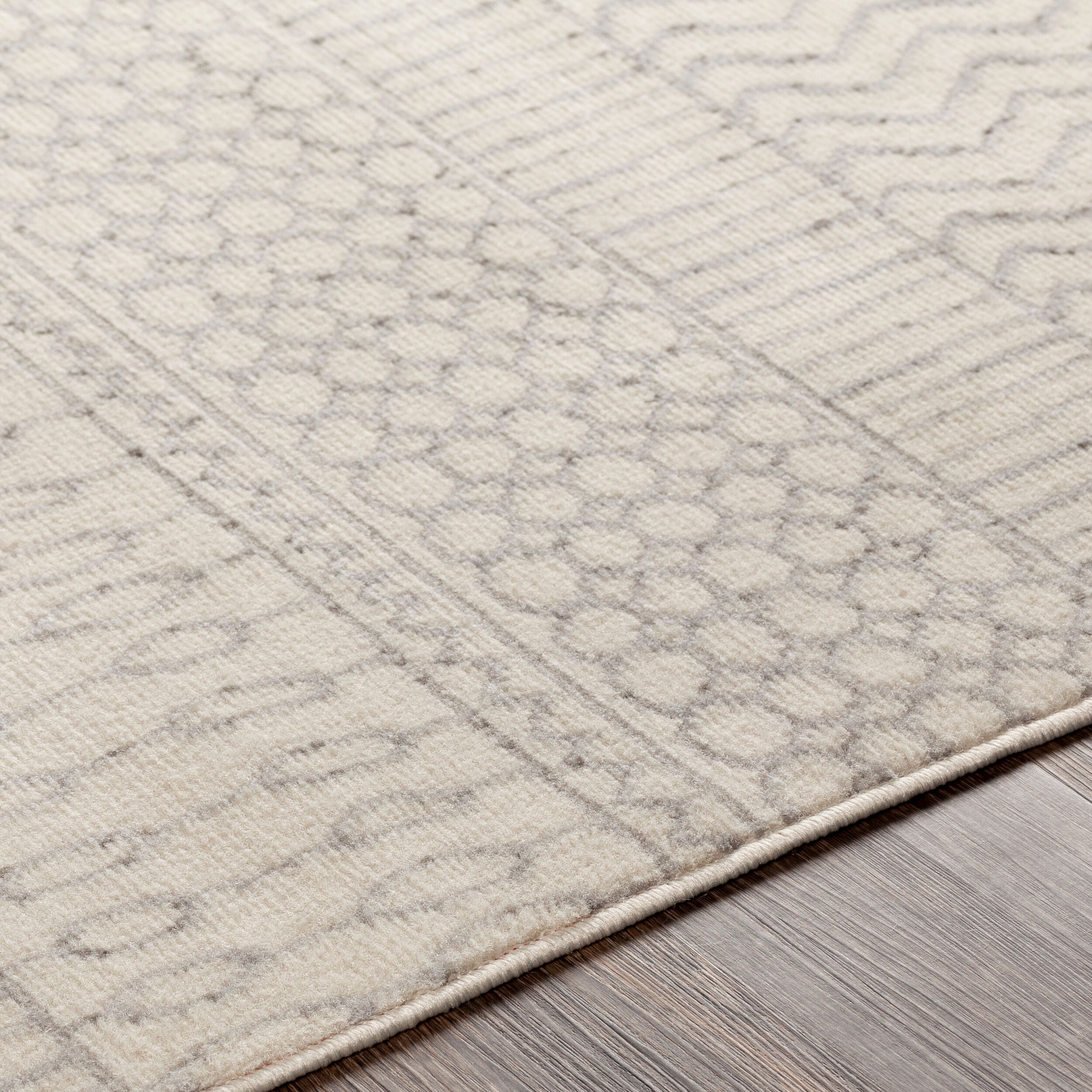 Surya Pisa PSS-2301 Gray Area Rug by LIVABLISS