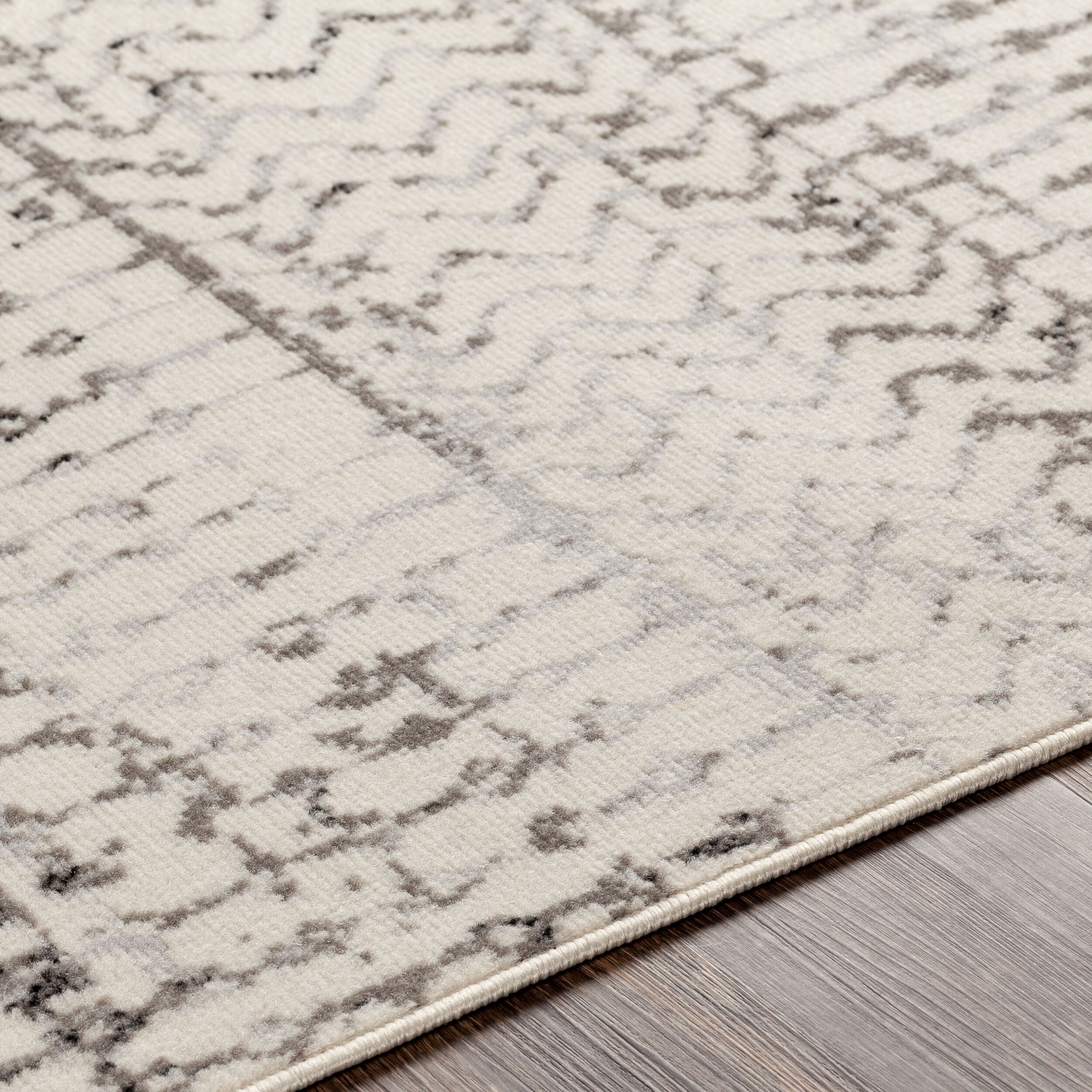 Surya Pisa PSS-2310 Charcoal Area Rug by LIVABLISS