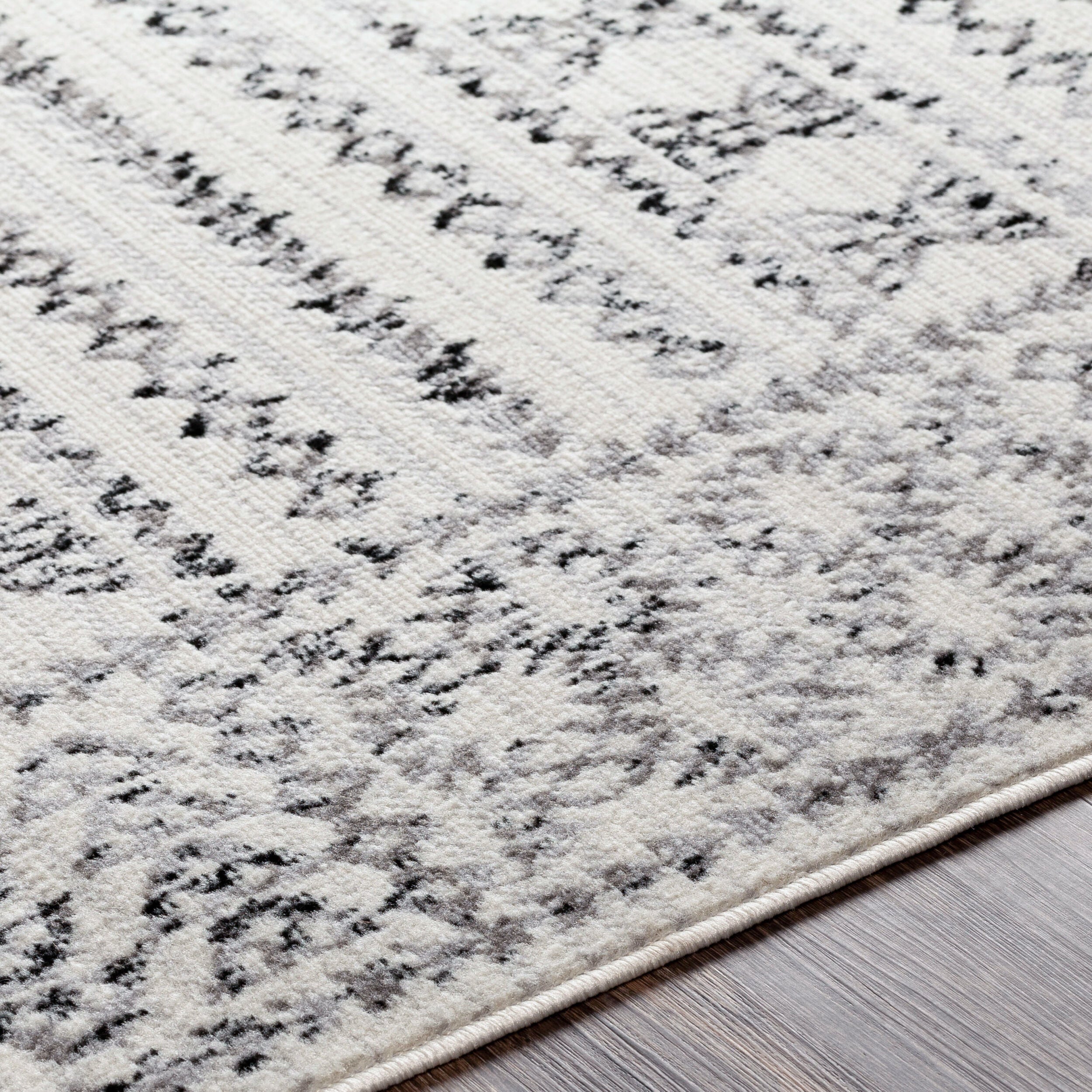 Surya Pisa PSS-2313 Charcoal Area Rug by LIVABLISS