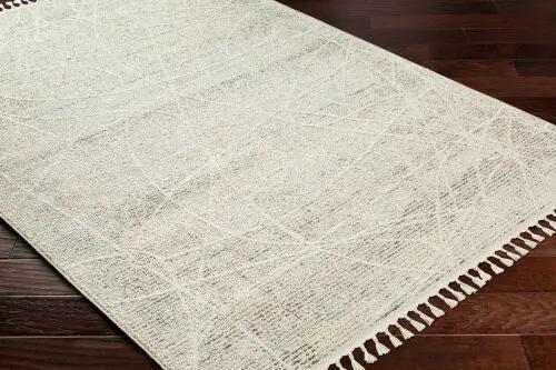 Rudy RDY-2303 Gray Area Rug by LIVABLISS