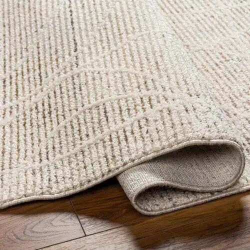 Rudy RDY-2303 Gray Area Rug by LIVABLISS