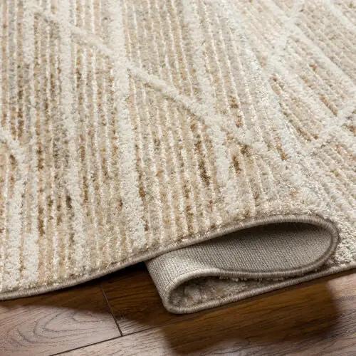 Rudy RDY-2304 Gray Area Rug by LIVABLISS