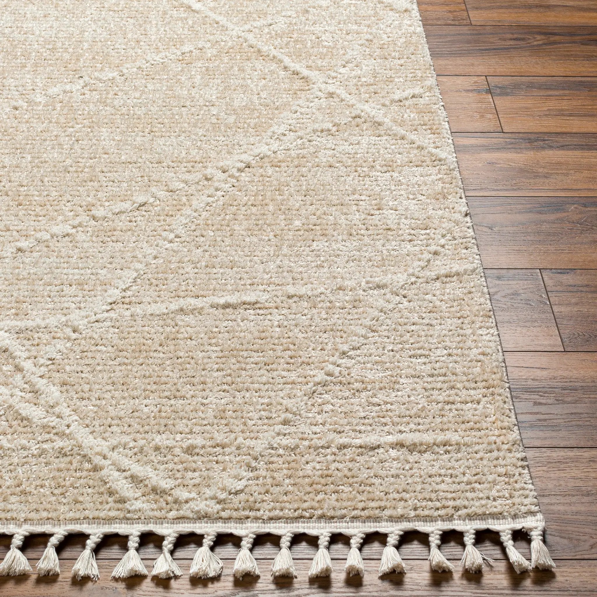 Rudy RDY-2307 Gray Area Rug by LIVABLISS