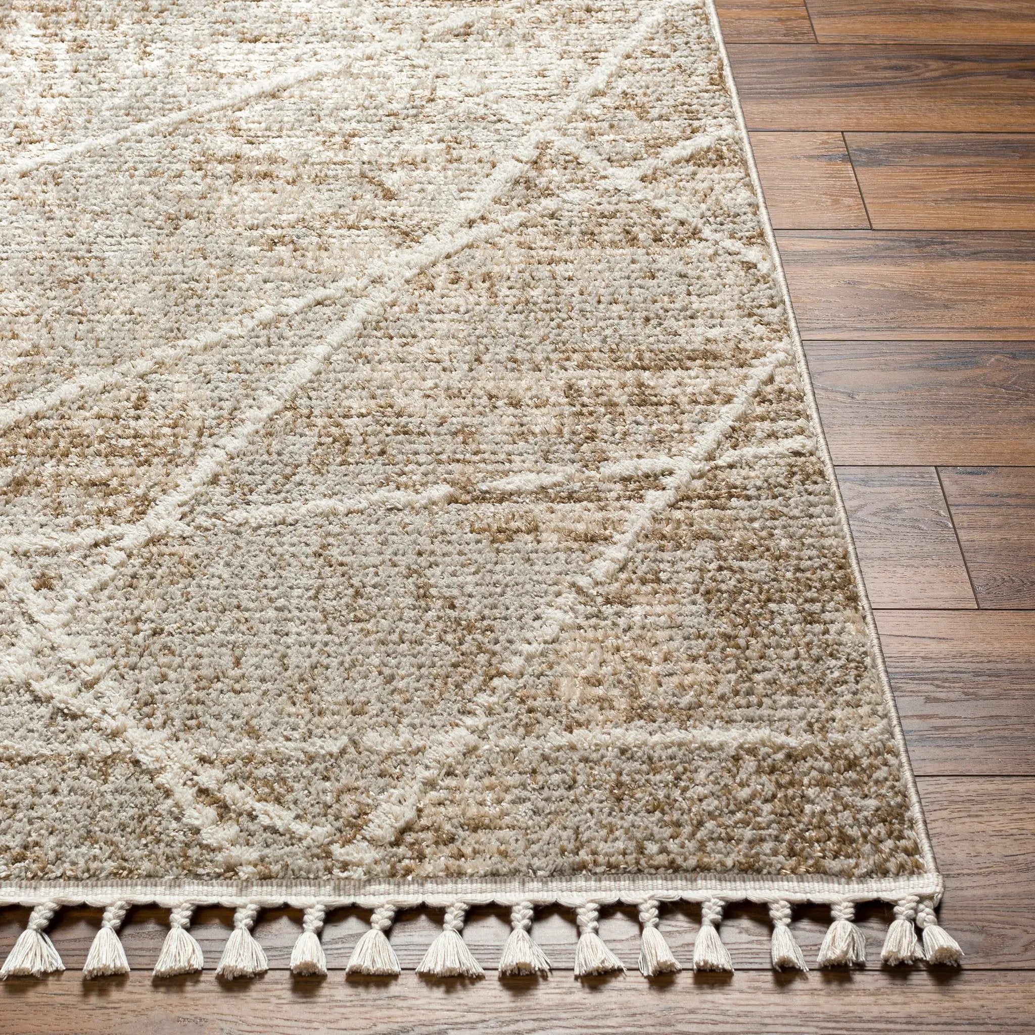 Rudy RDY-2308 Gray Area Rug by LIVABLISS