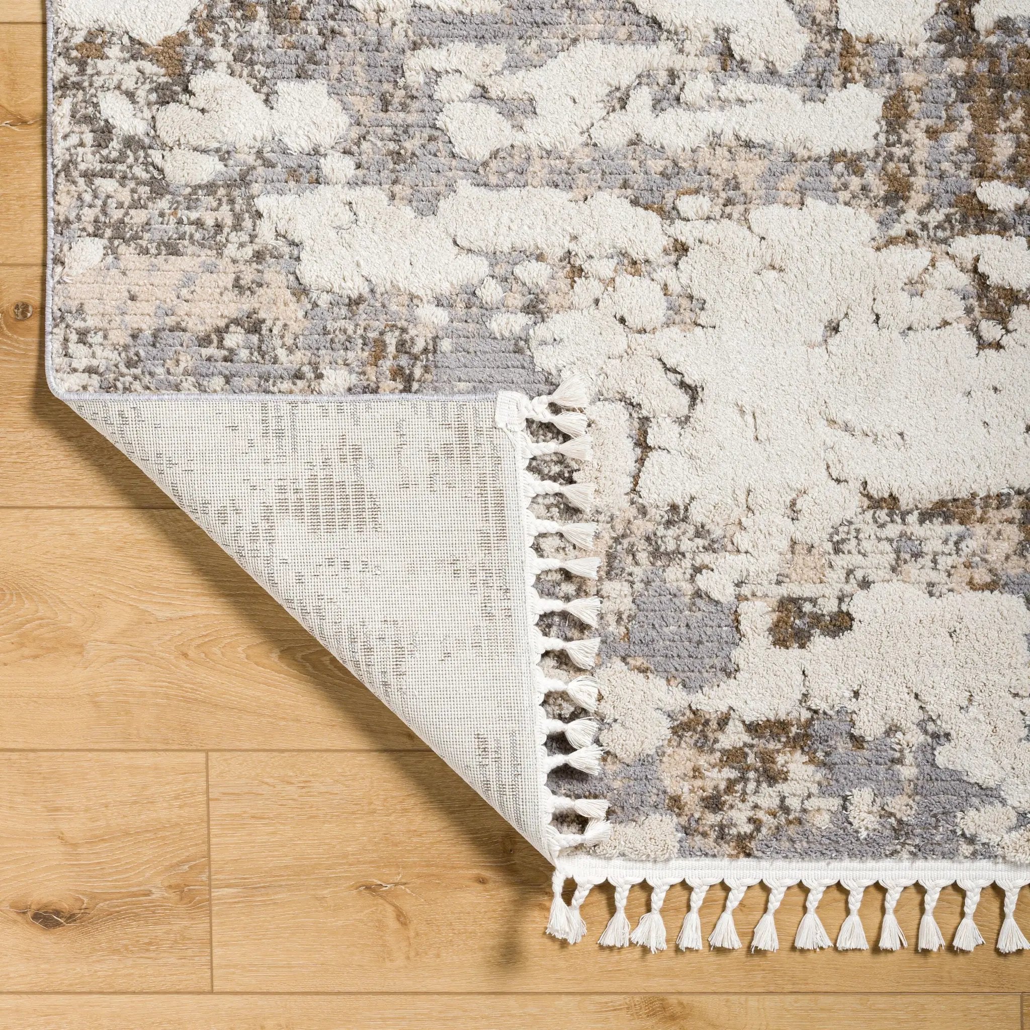 Rudy RDY-2309 Gray Area Rug by LIVABLISS
