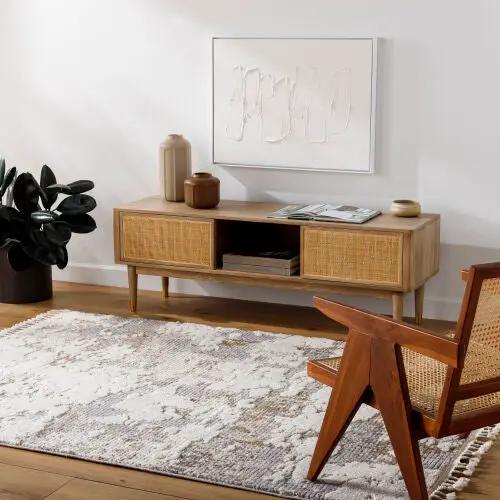 Rudy RDY-2309 Gray Area Rug by LIVABLISS