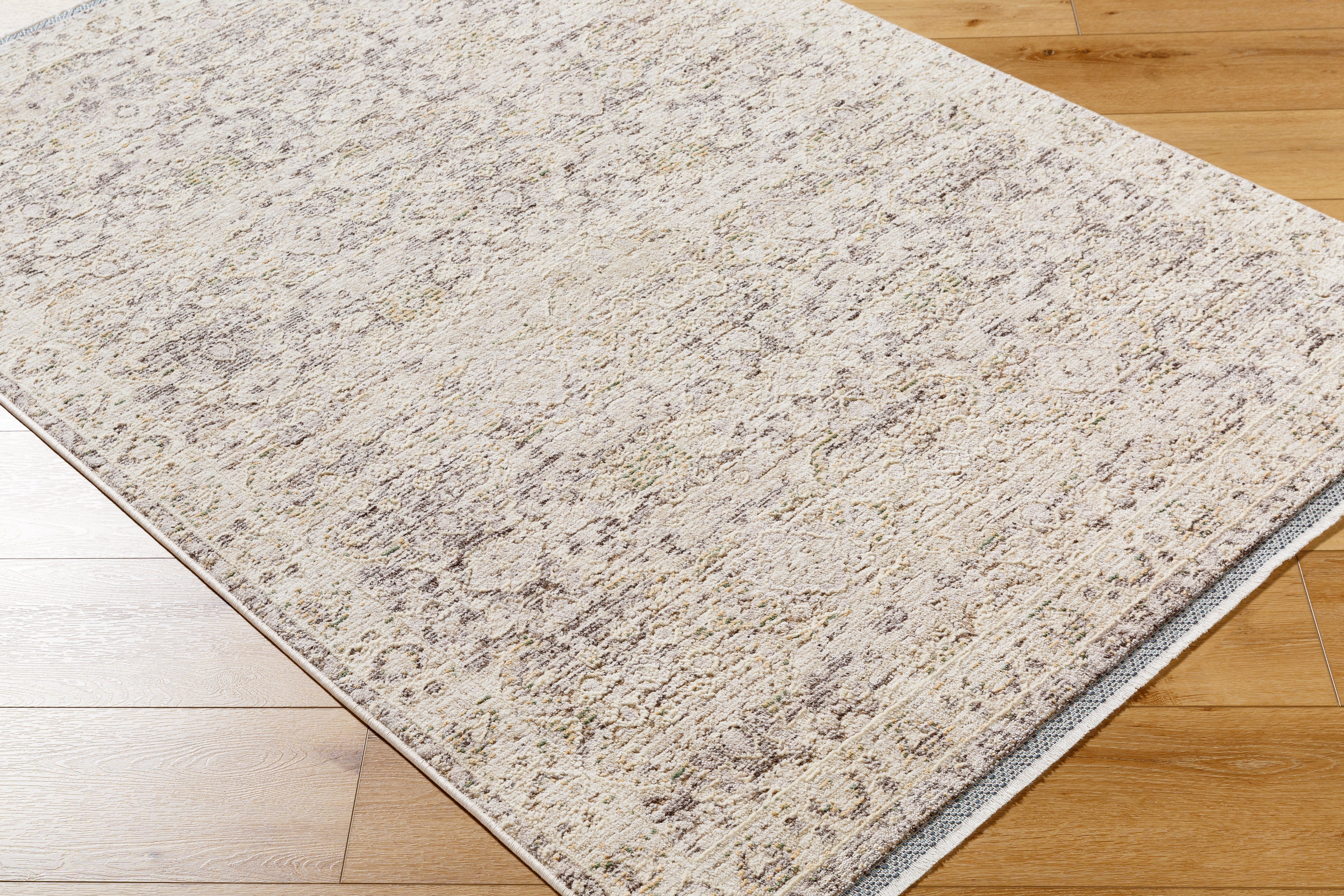 Surya Rivaldo RVD-2311 Cream Area Rug by LIVABLISS