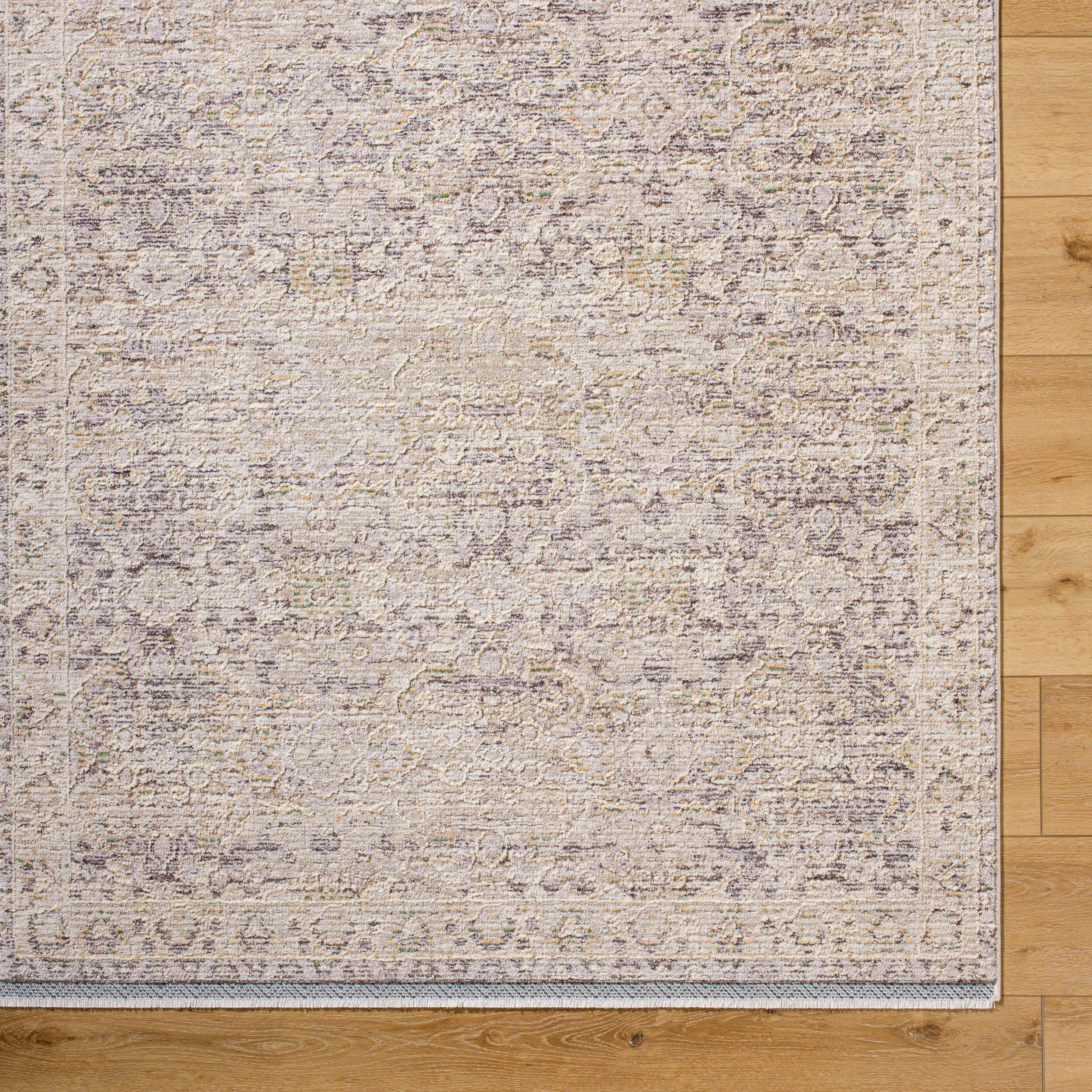 Surya Rivaldo RVD-2311 Cream Area Rug by LIVABLISS