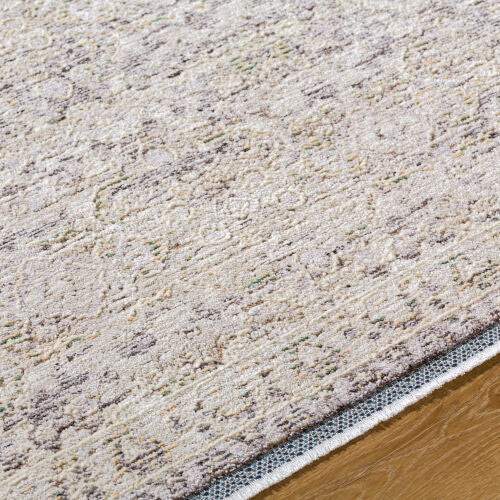 Surya Rivaldo RVD-2311 Cream Area Rug by LIVABLISS