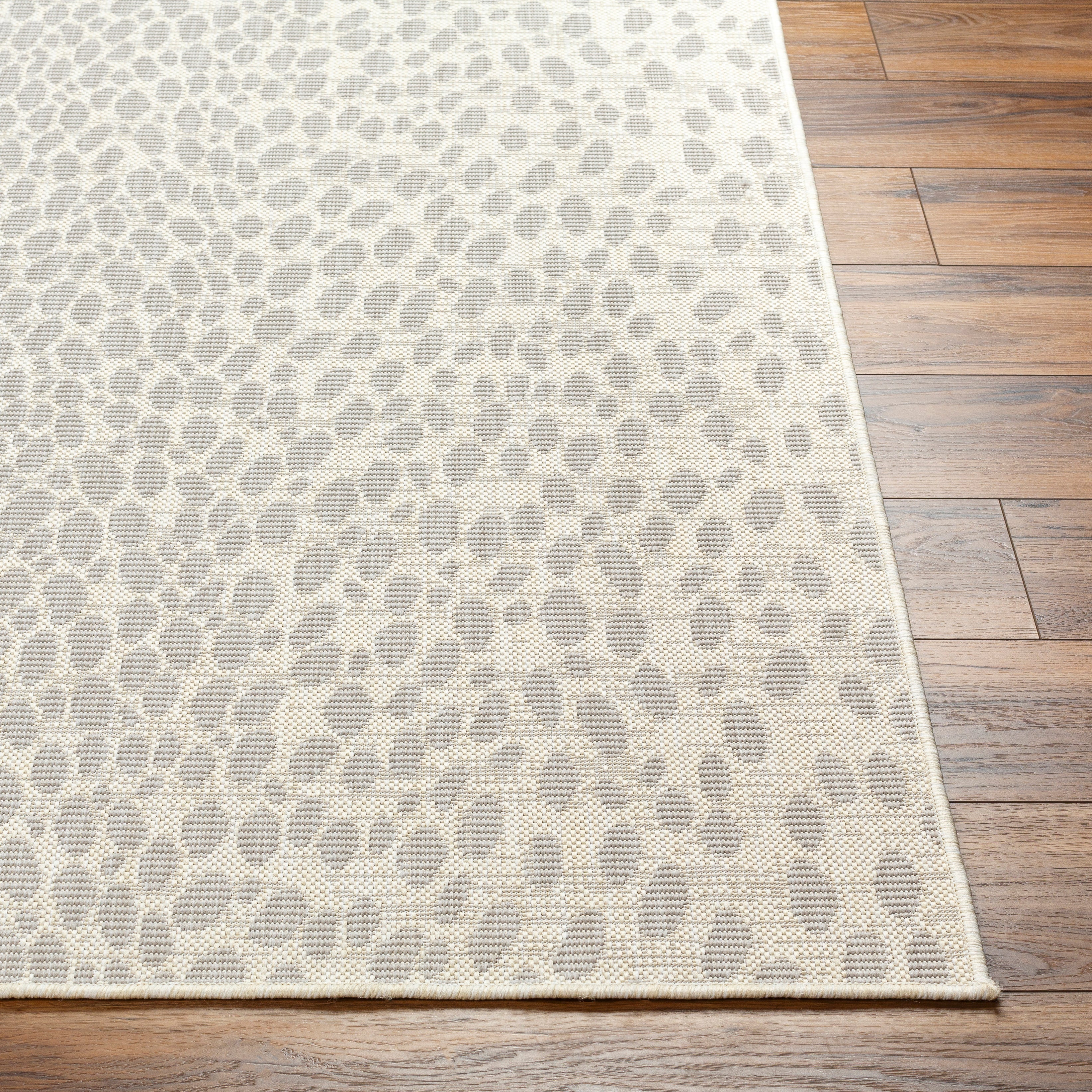 Surya Ravello RVL-2357 Ivory Area Rug by LIVABLISS