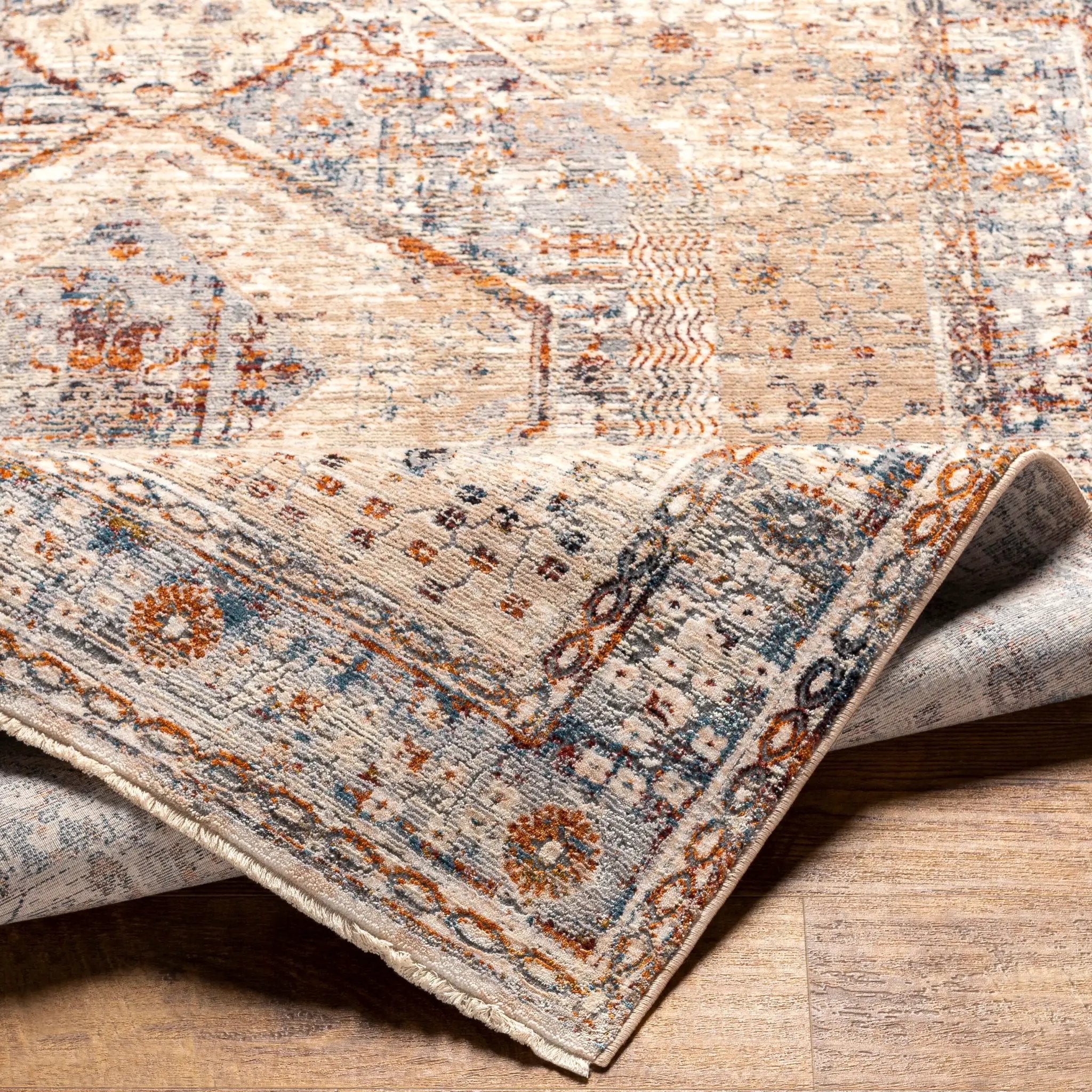 Arya RYA-2305 Medium-Gray Area Rug by LIVABLISS