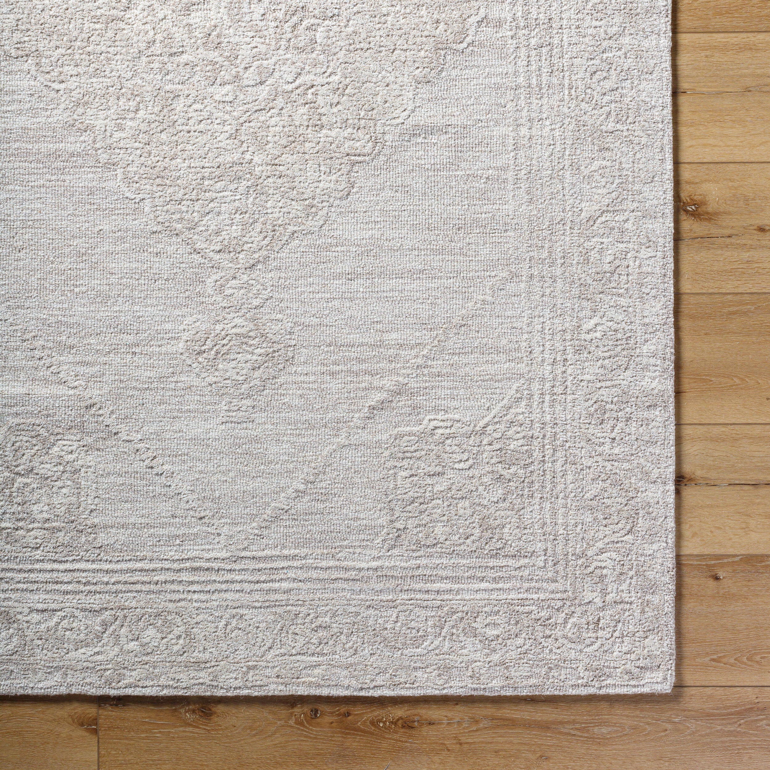 Surya Rize RZE-2303 Ivory Area Rug by LIVABLISS