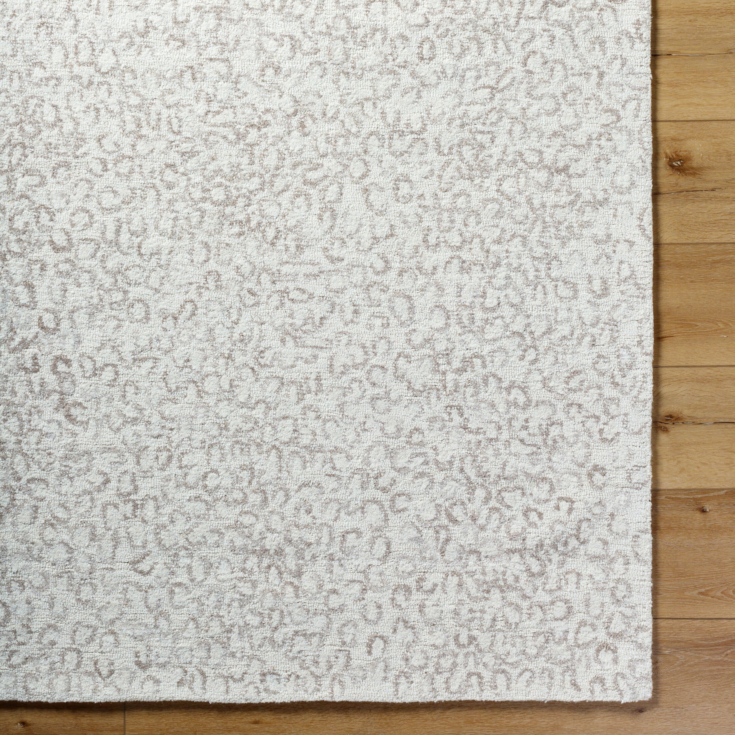 Surya Rize RZE-2308 Ivory Area Rug by LIVABLISS