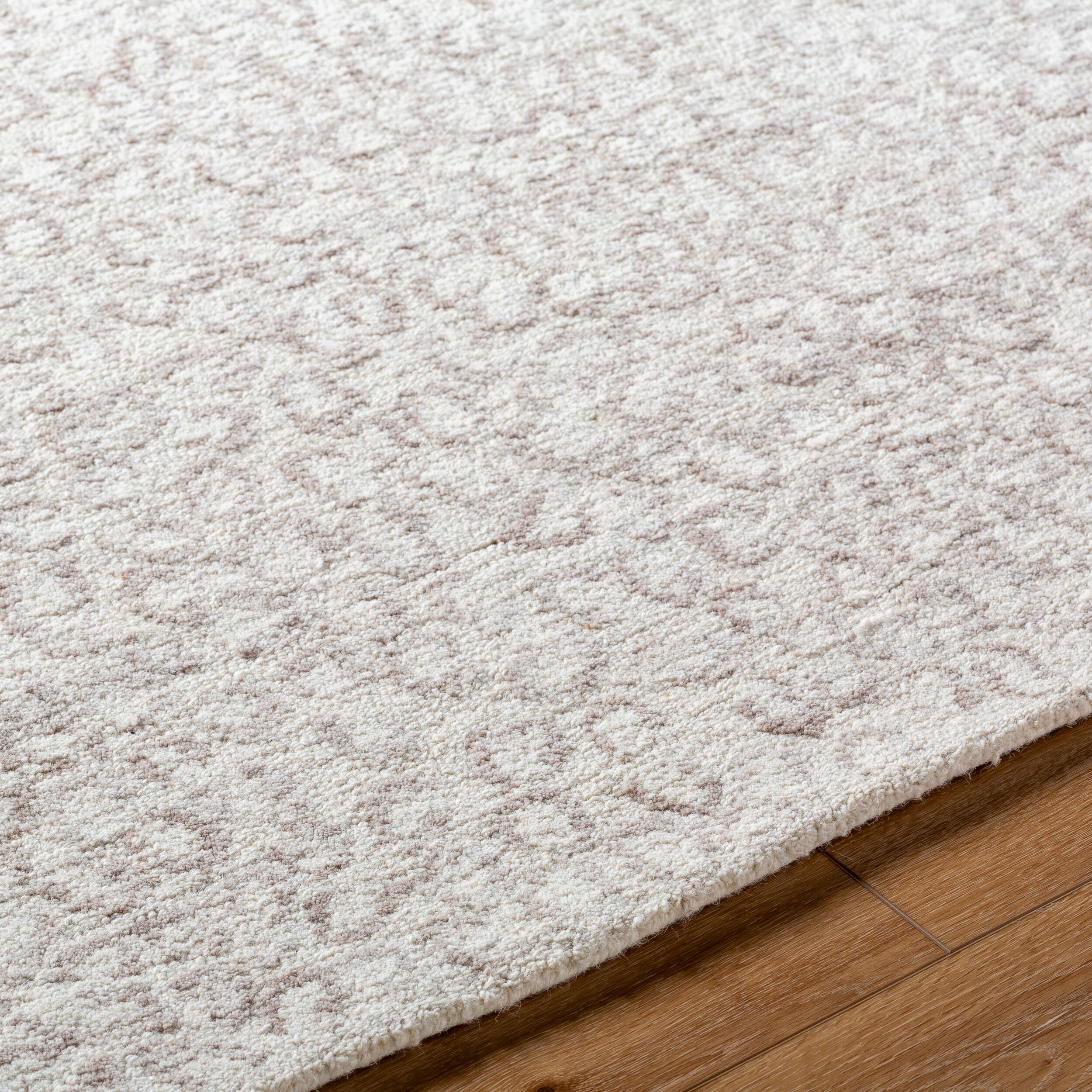 Surya Rize RZE-2308 Ivory Area Rug by LIVABLISS