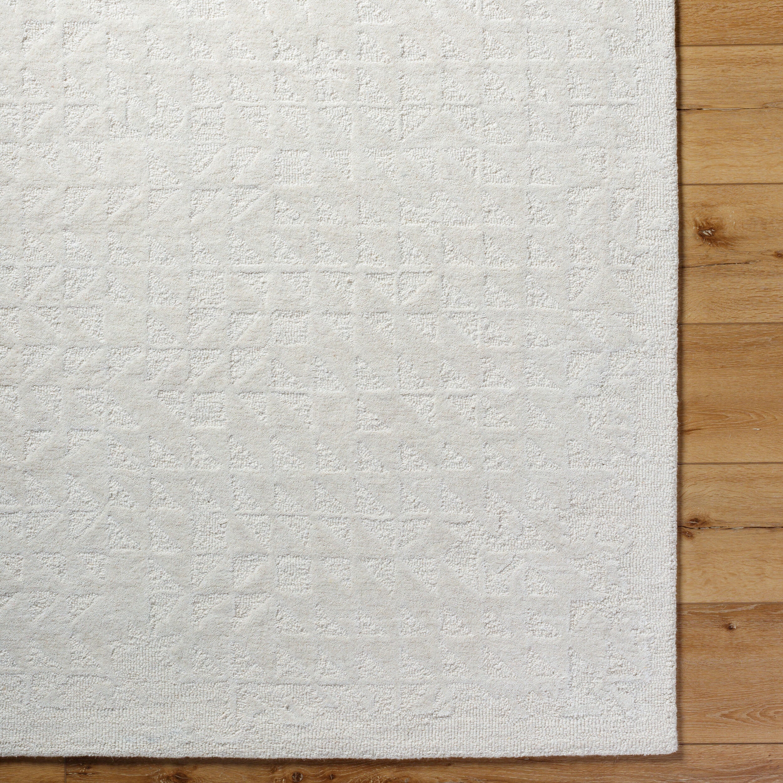 Surya Rize RZE-2310 Ivory Area Rug by LIVABLISS