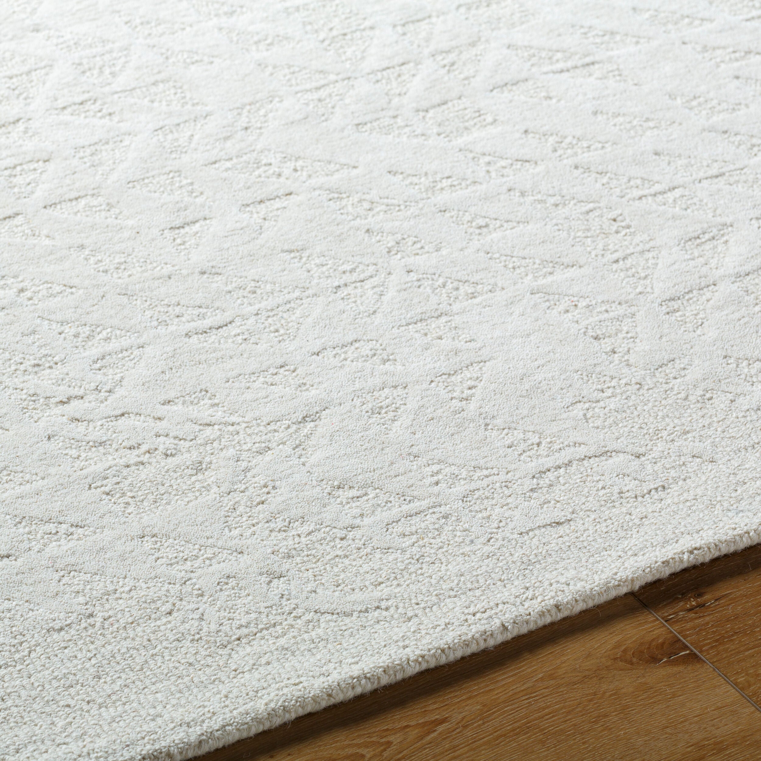 Surya Rize RZE-2310 Ivory Area Rug by LIVABLISS