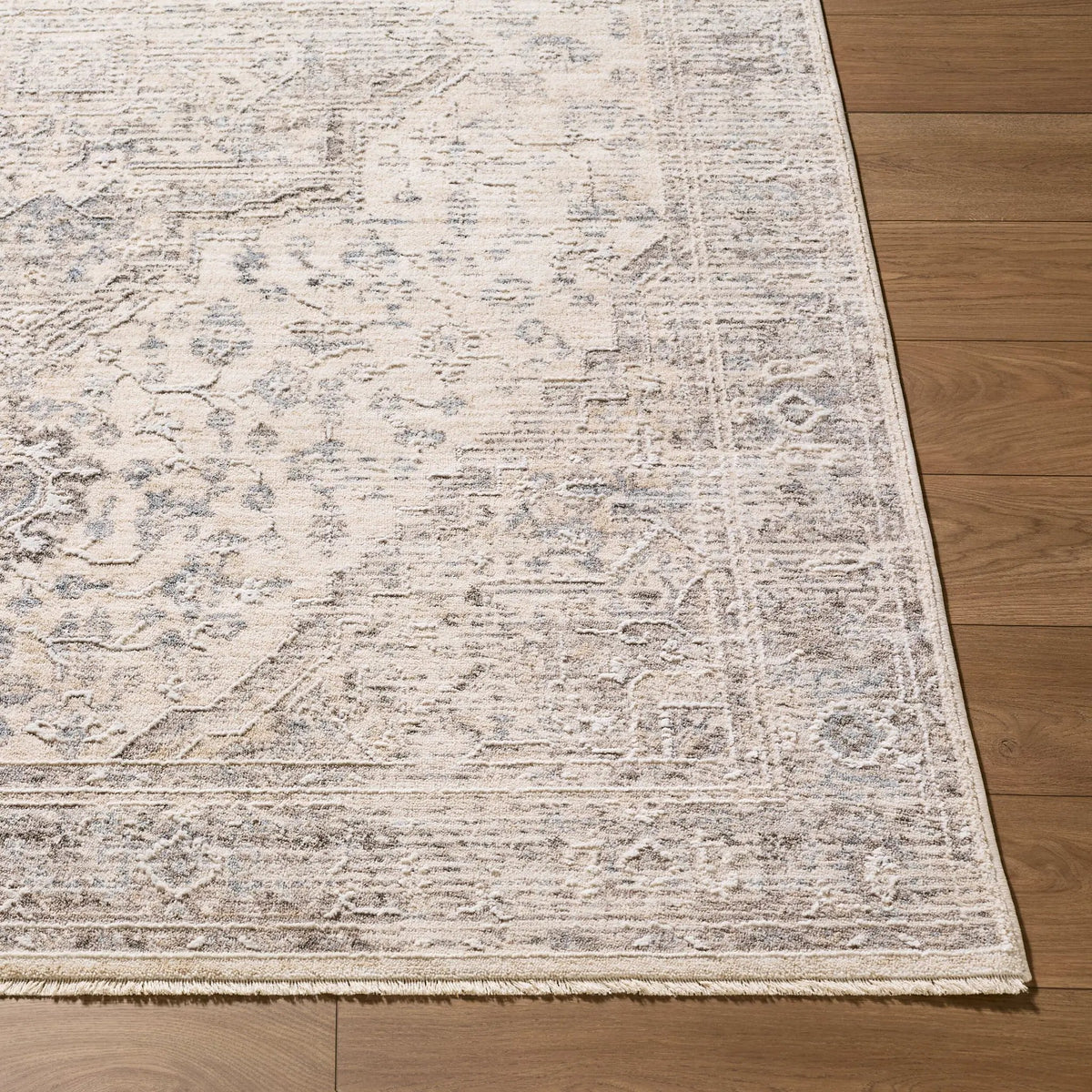 LIVABLISS Seclusion SCN-2302 Gray Area Rug