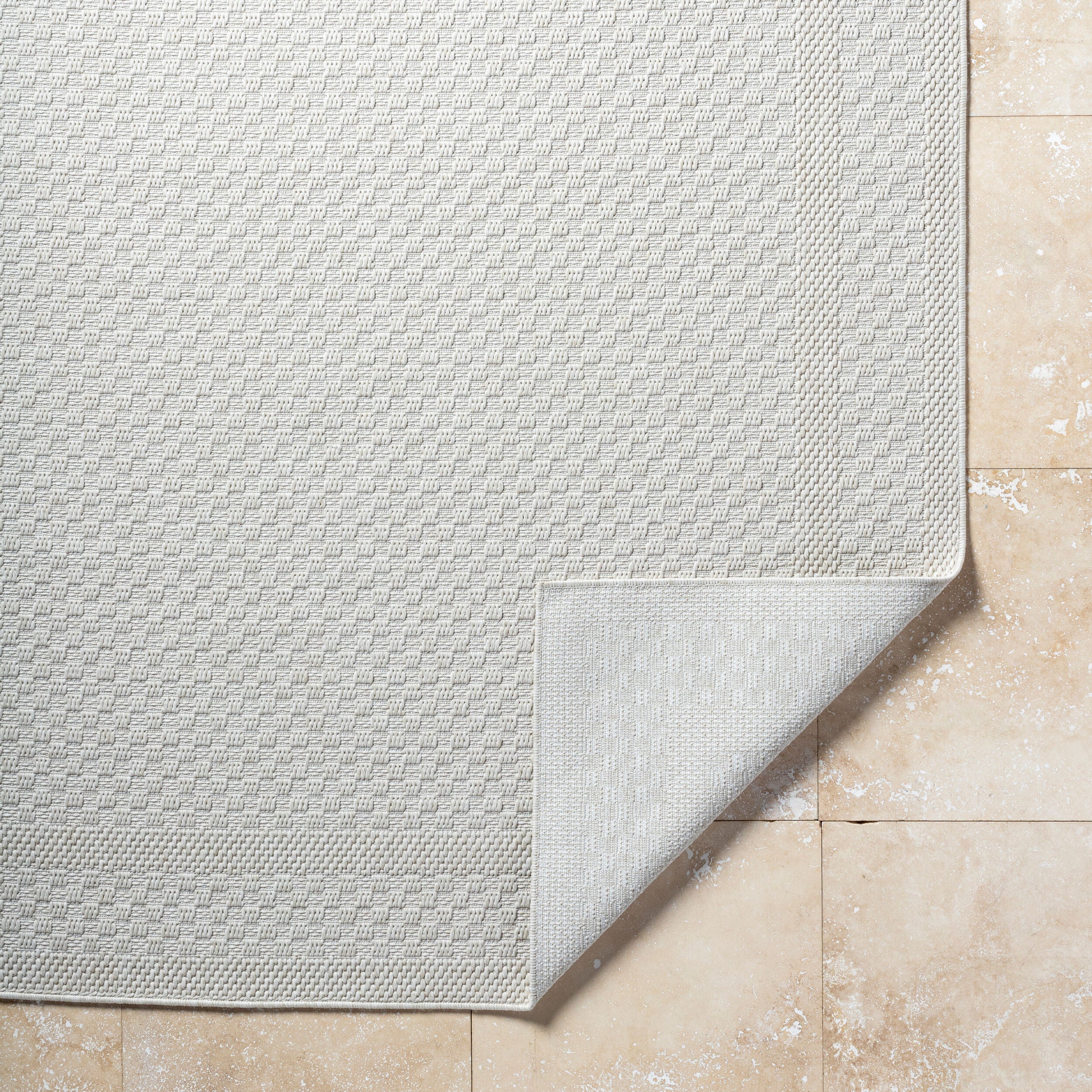 Surya Sandra SDR-2302 Beige Area Rug by LIVABLISS