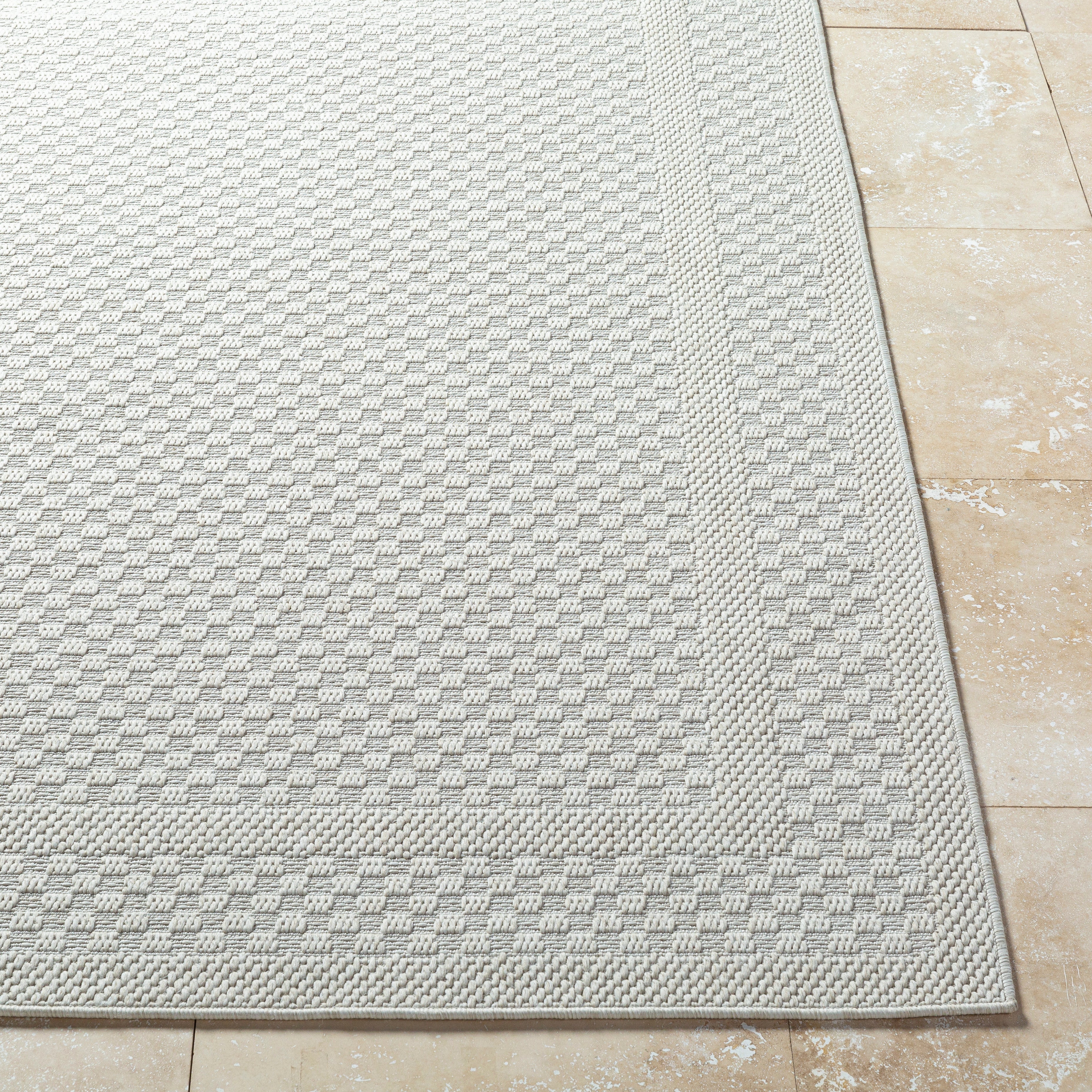 Surya Sandra SDR-2302 Beige Area Rug by LIVABLISS