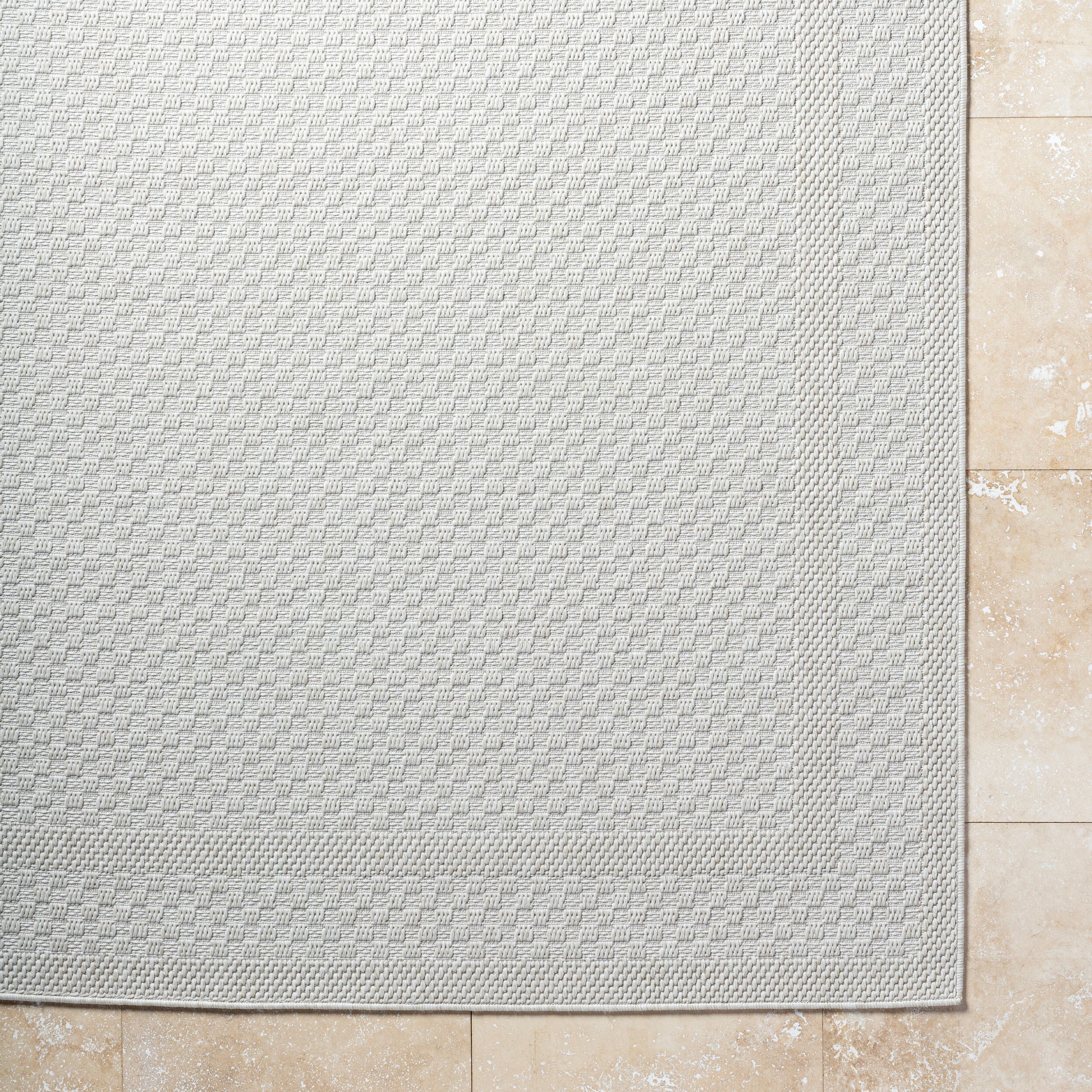 Surya Sandra SDR-2302 Beige Area Rug by LIVABLISS