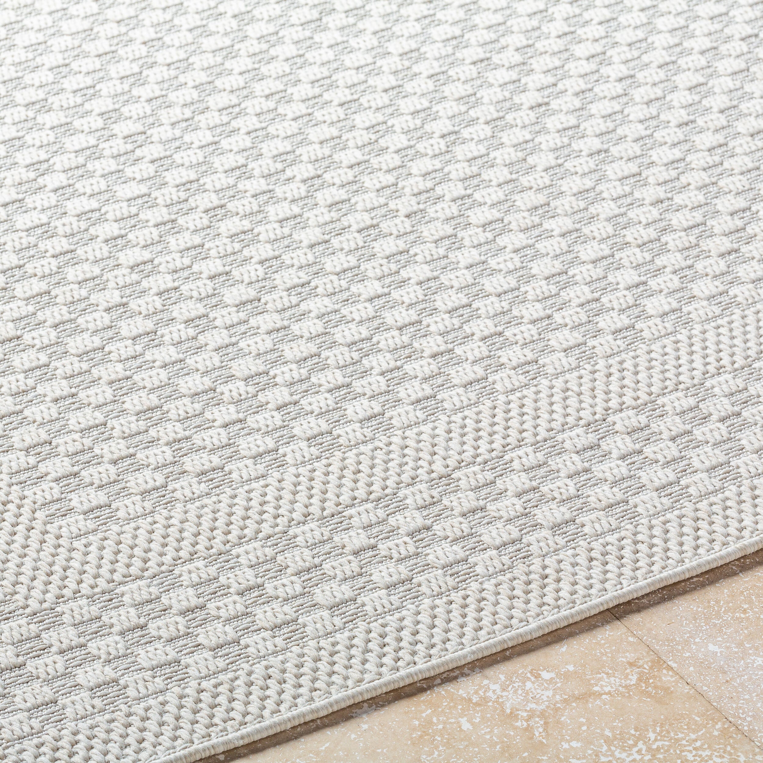 Surya Sandra SDR-2302 Beige Area Rug by LIVABLISS