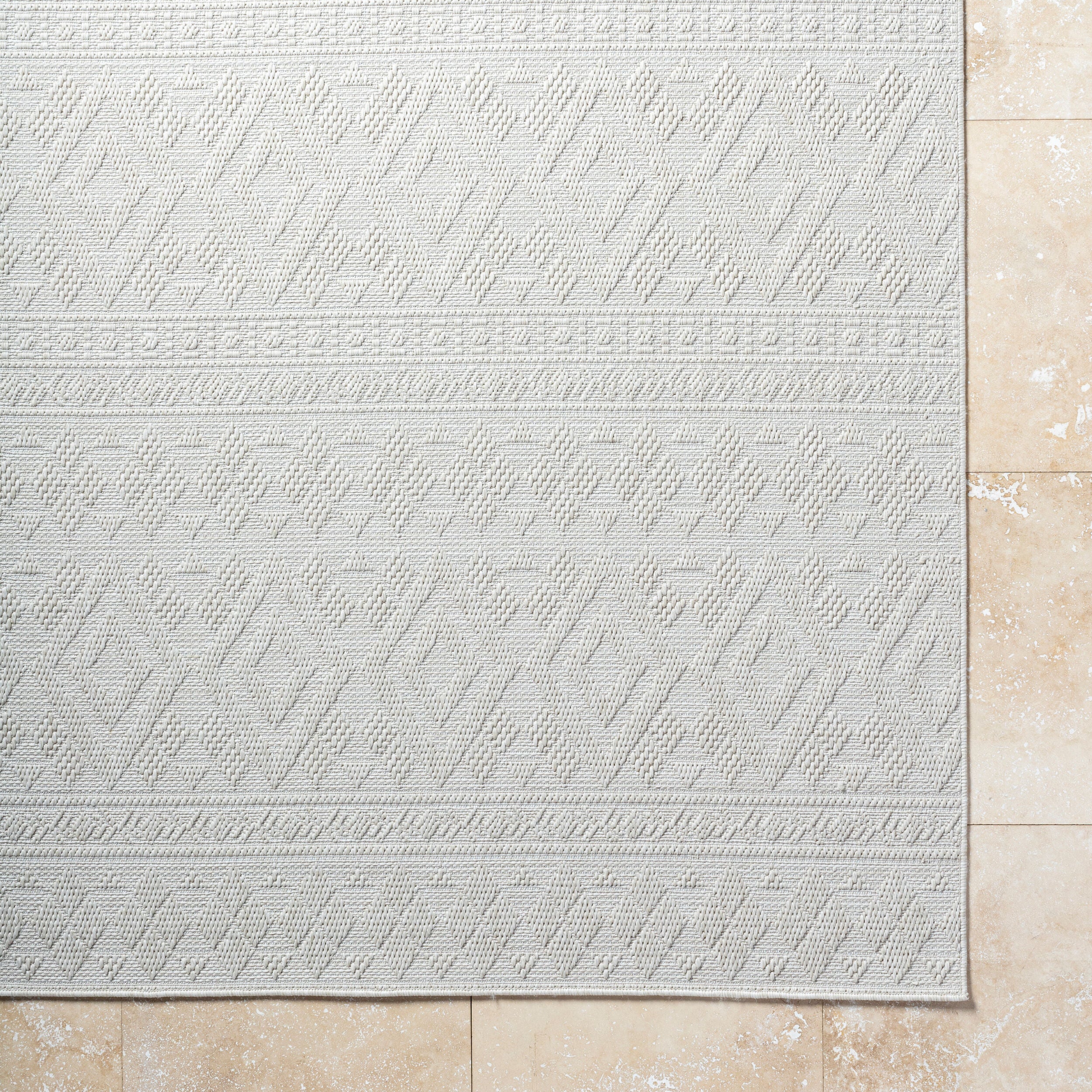 Surya Sandra SDR-2310 Beige Area Rug by LIVABLISS