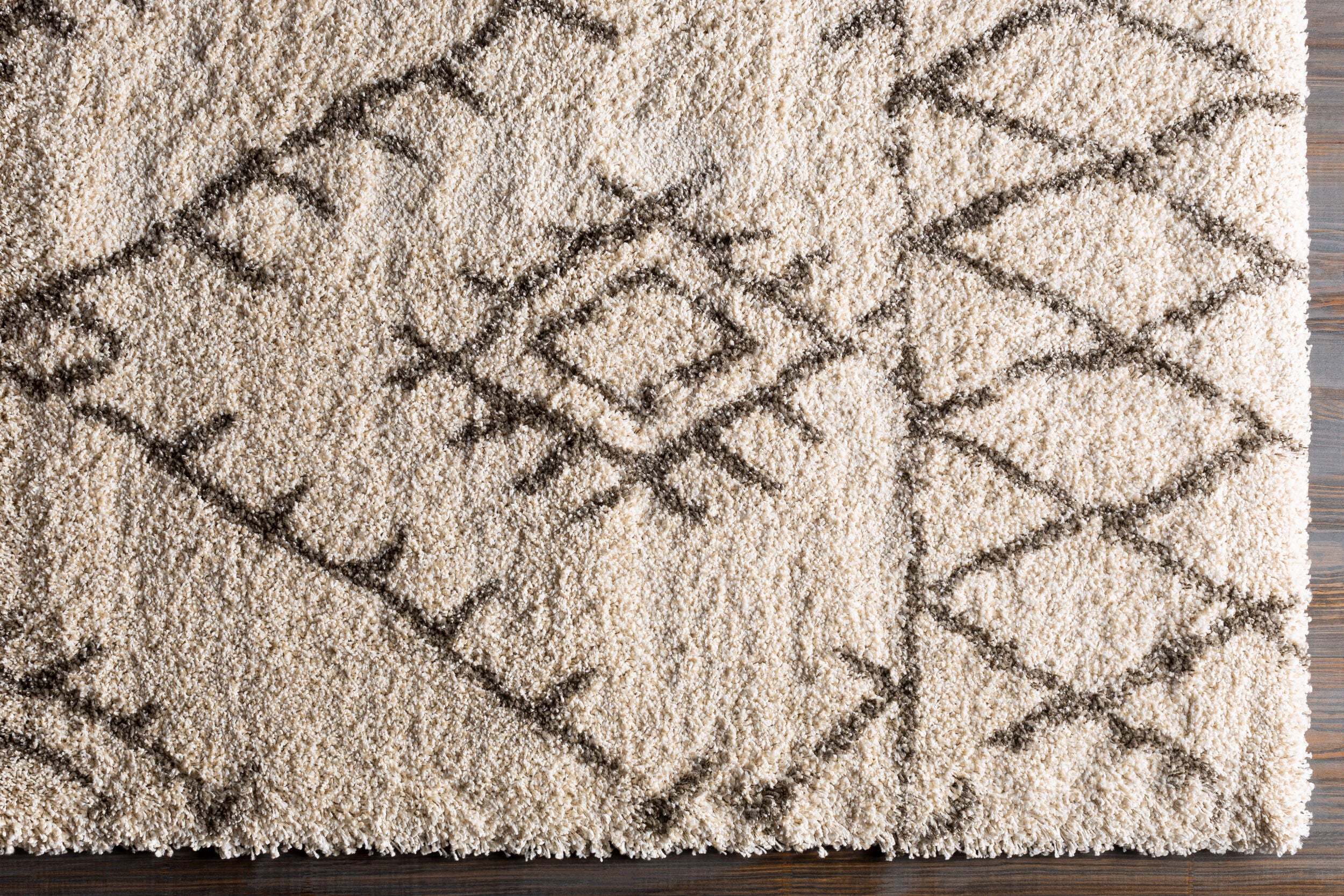 Surya Serengeti Shag SGT-2301 Ivory Area Rug by LIVABLISS
