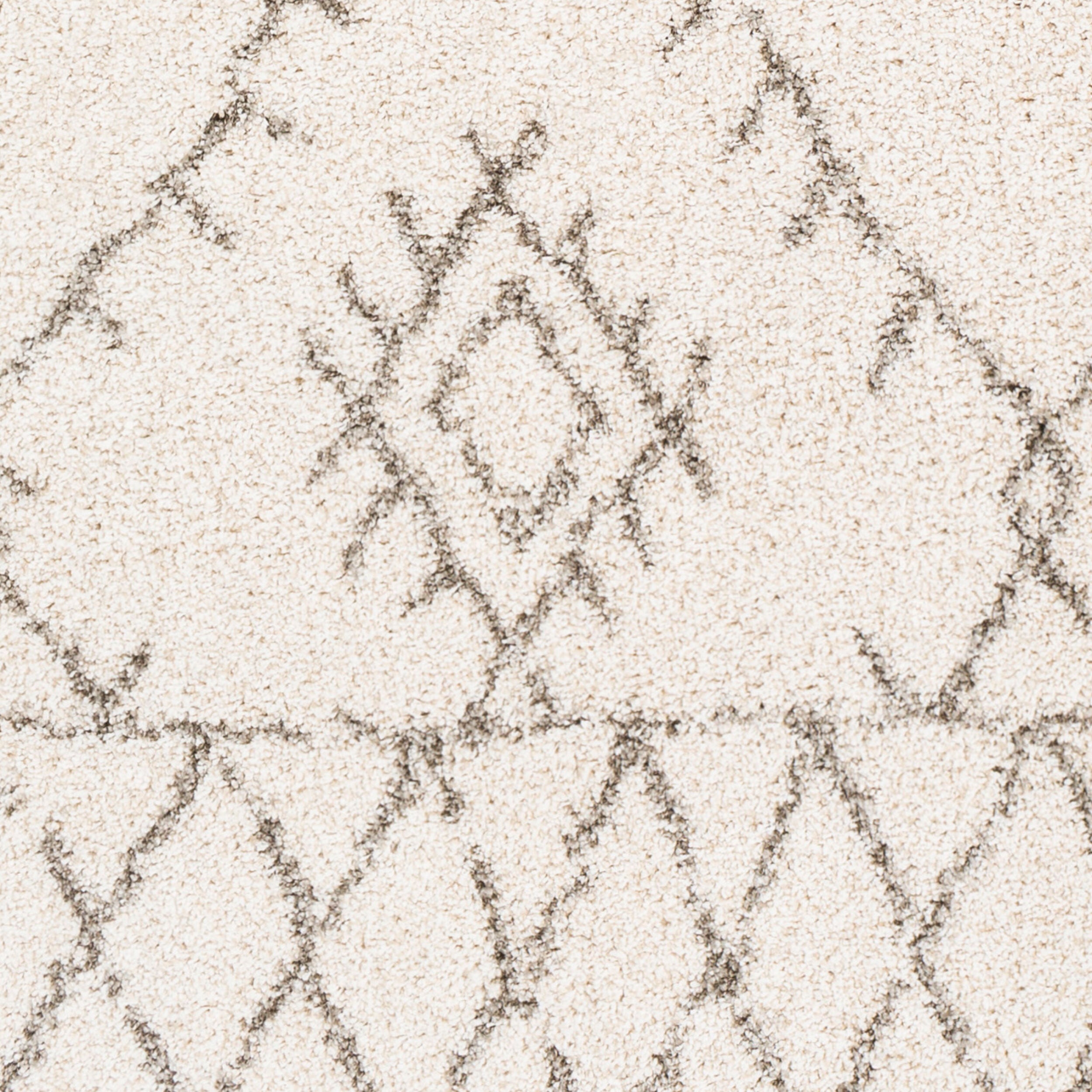 Surya Serengeti Shag SGT-2301 Ivory Area Rug by LIVABLISS