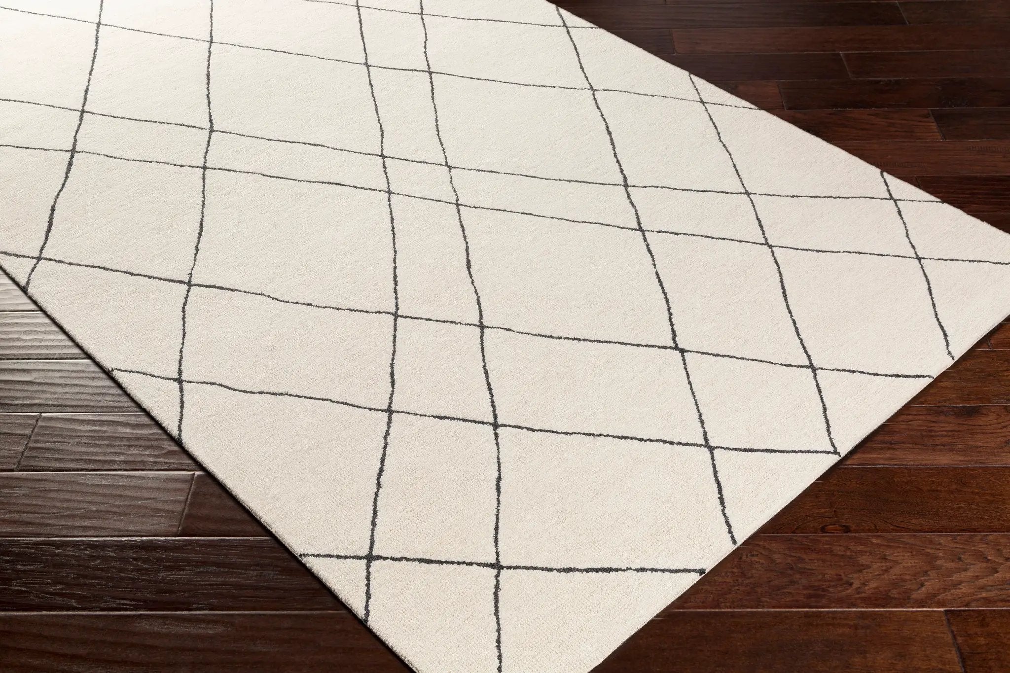 Sinop SNP-2304 Black Area Rug by LIVABLISS
