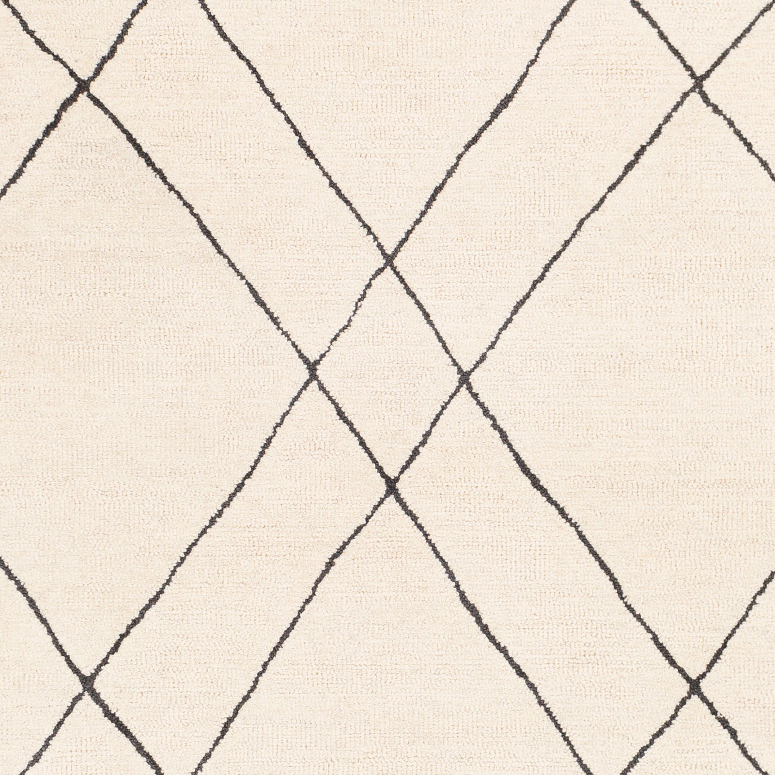 Surya Sinop SNP-2304 Black Area Rug by LIVABLISS